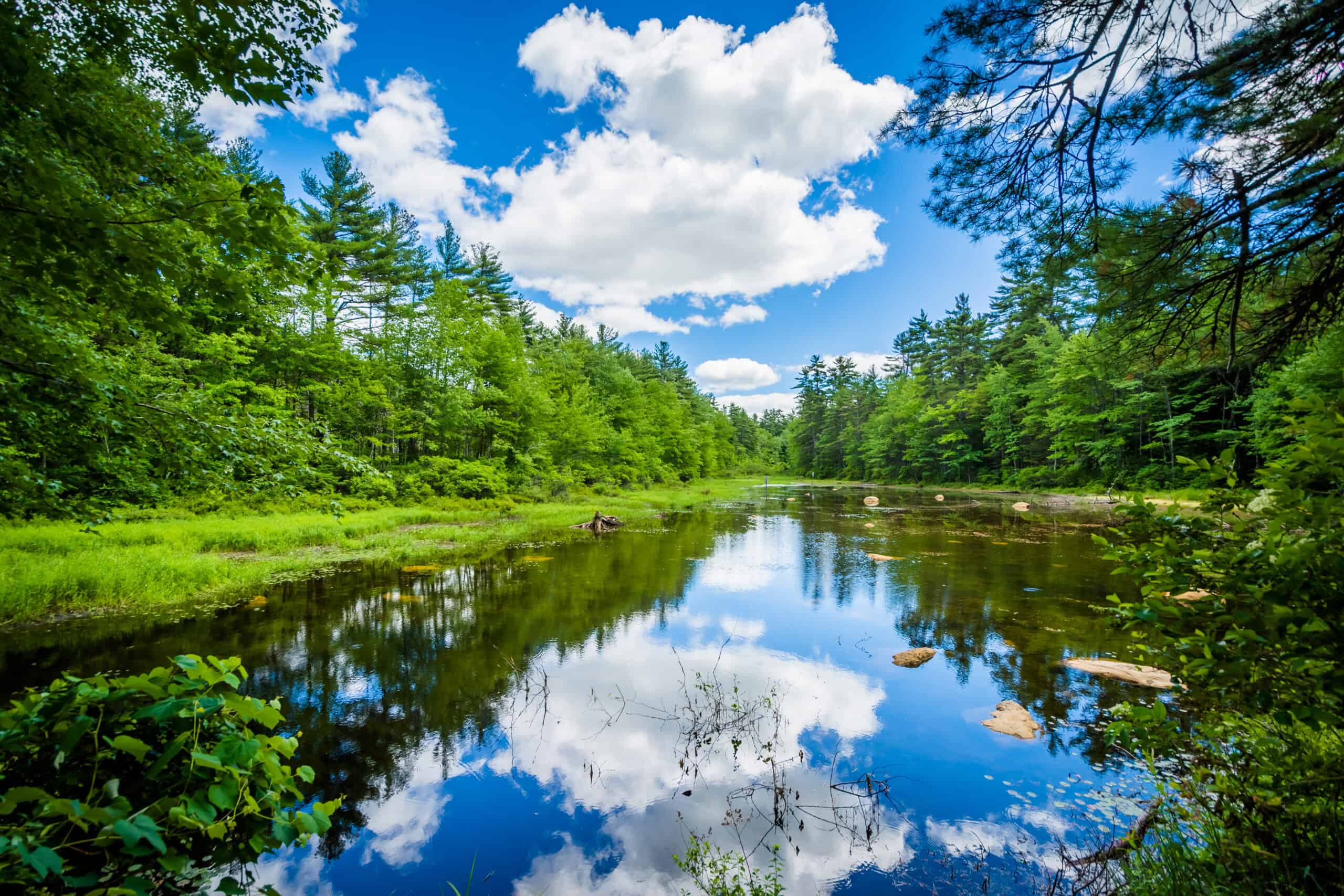 The ultimate guide to Bear Brook State Park