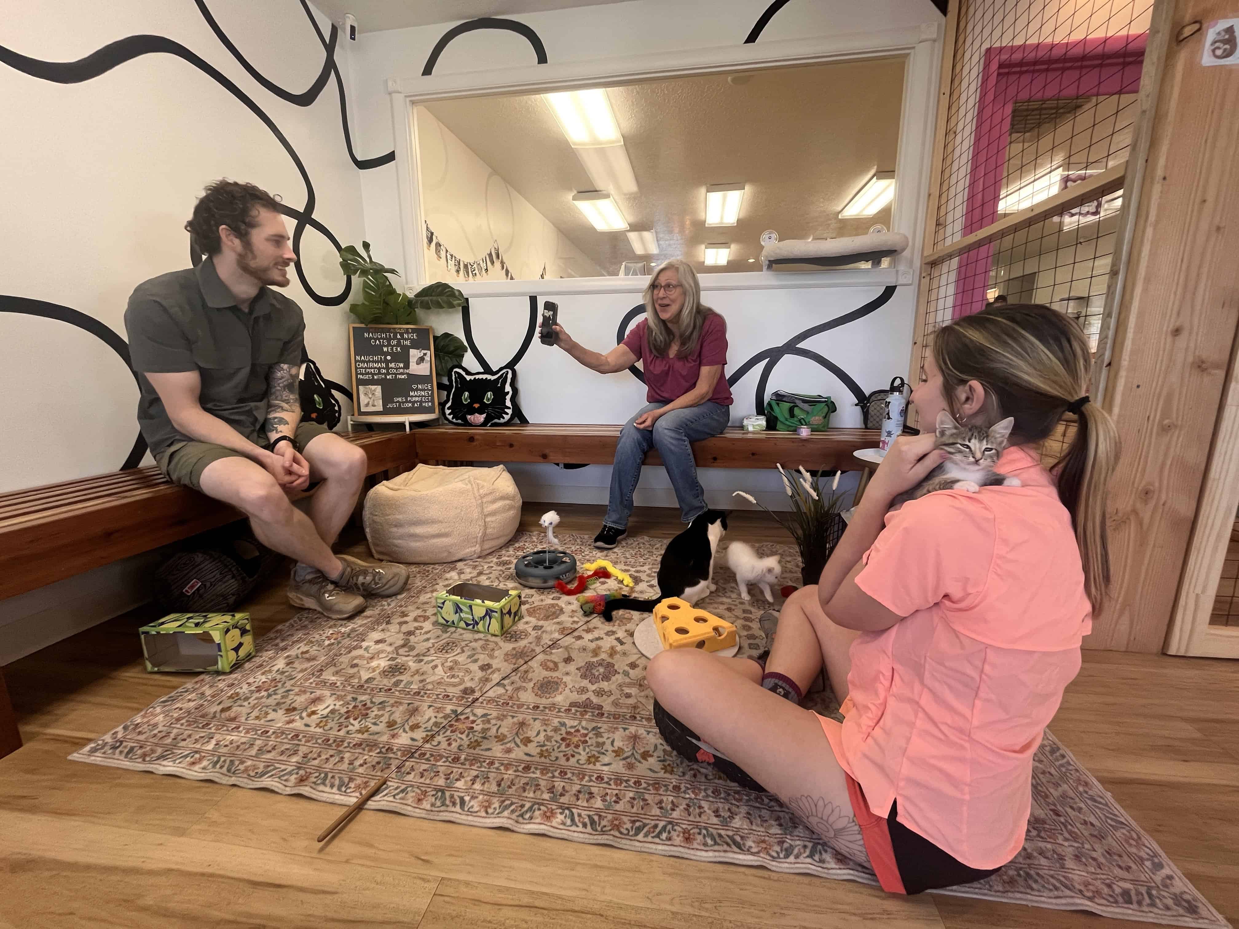 More than a feline: how to plan a visit to Utah’s three cat cafés