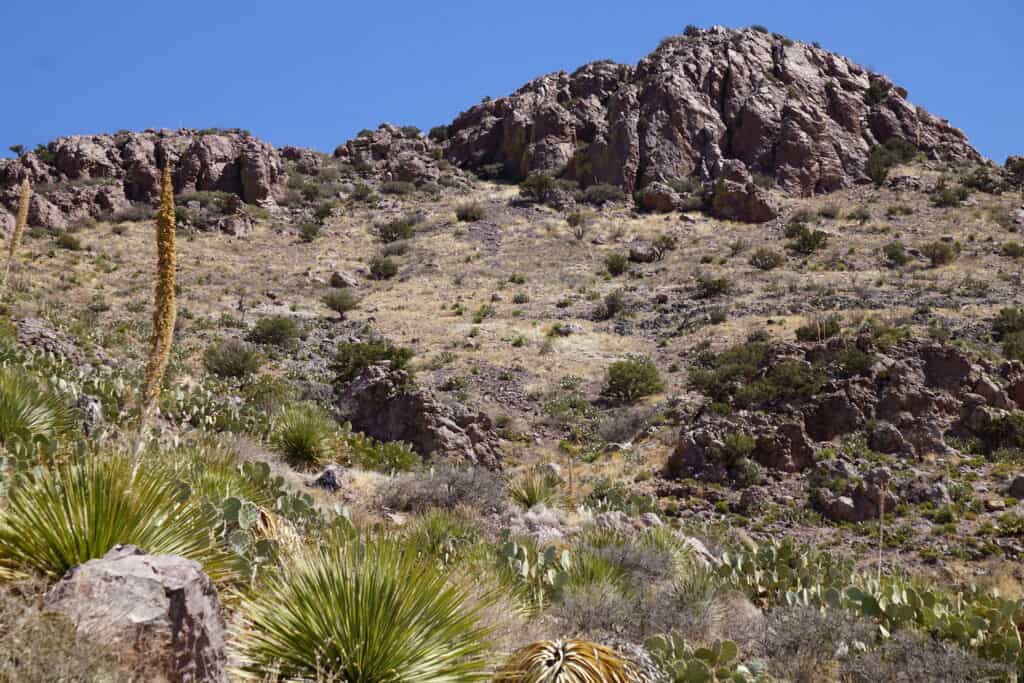 Your guide to rock hunting in New Mexico