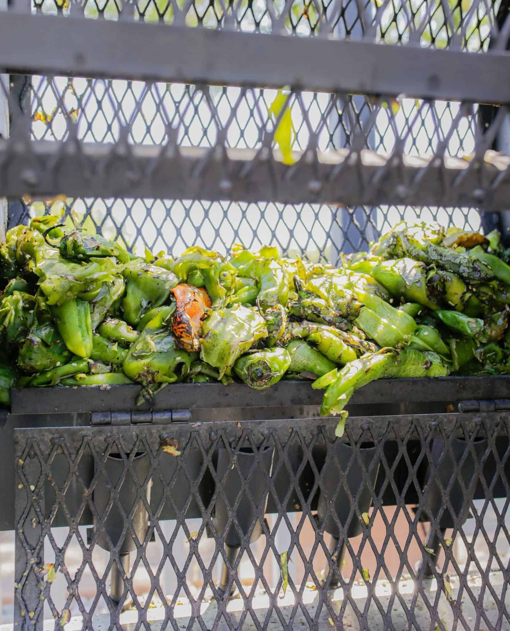Turn up the heat: Your guide to Northern Colorado’s green chile season
