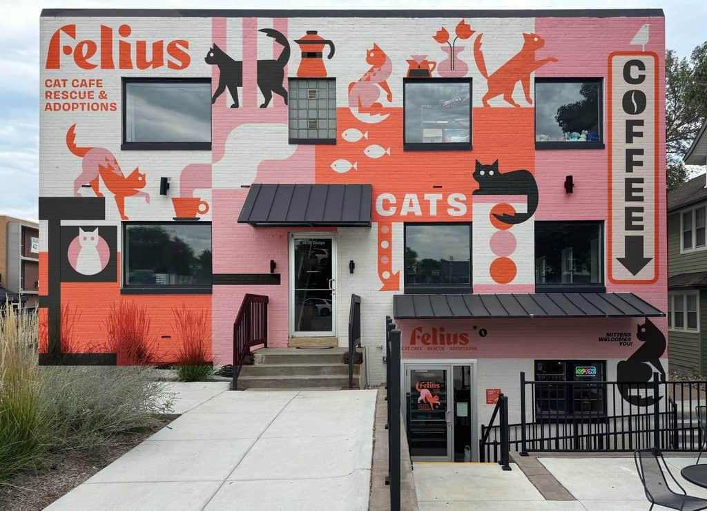 Everything you need to know about Nebraska’s only cat cafe: Felius