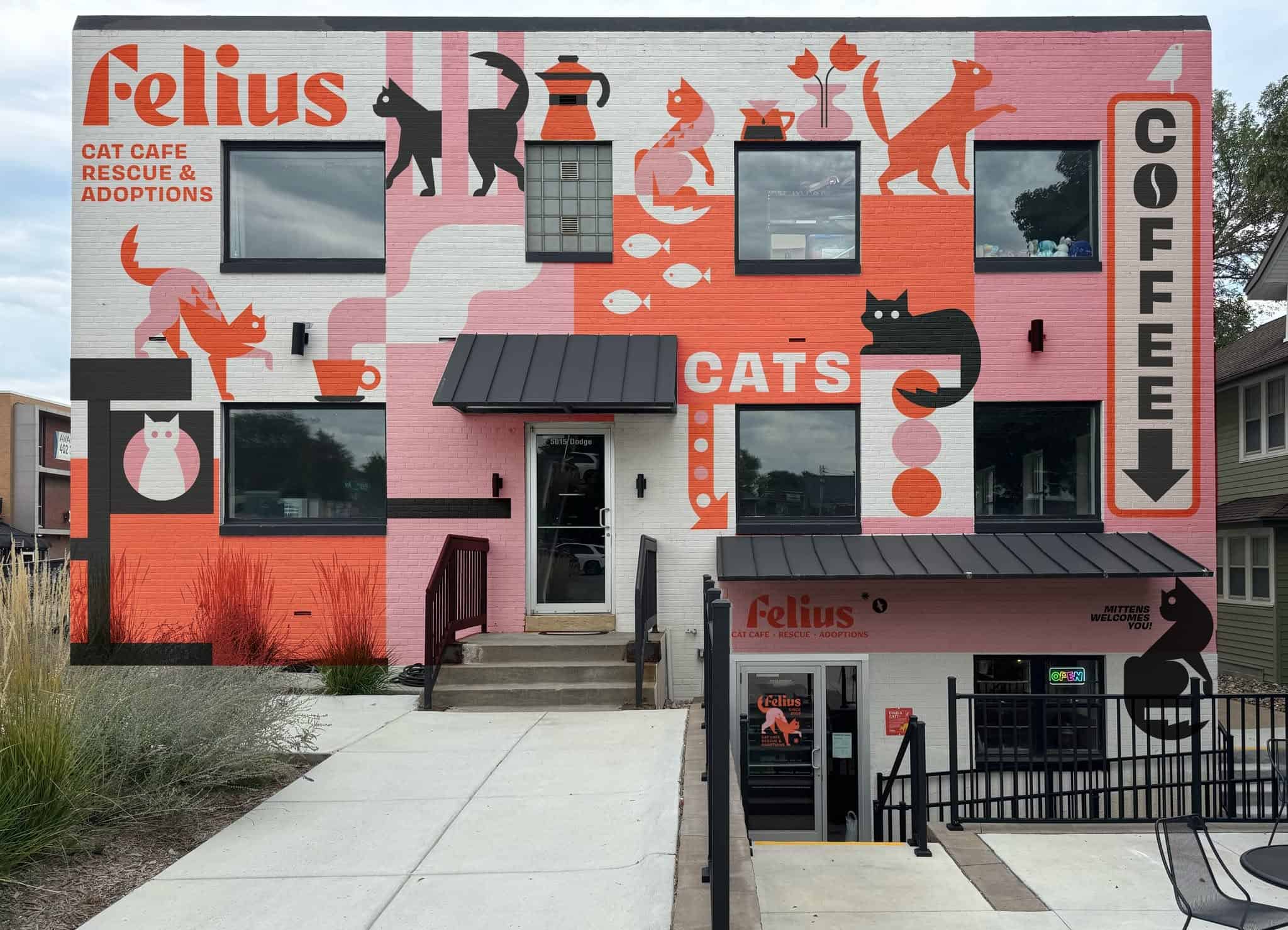 Everything you need to know about Nebraska’s only cat cafe: Felius