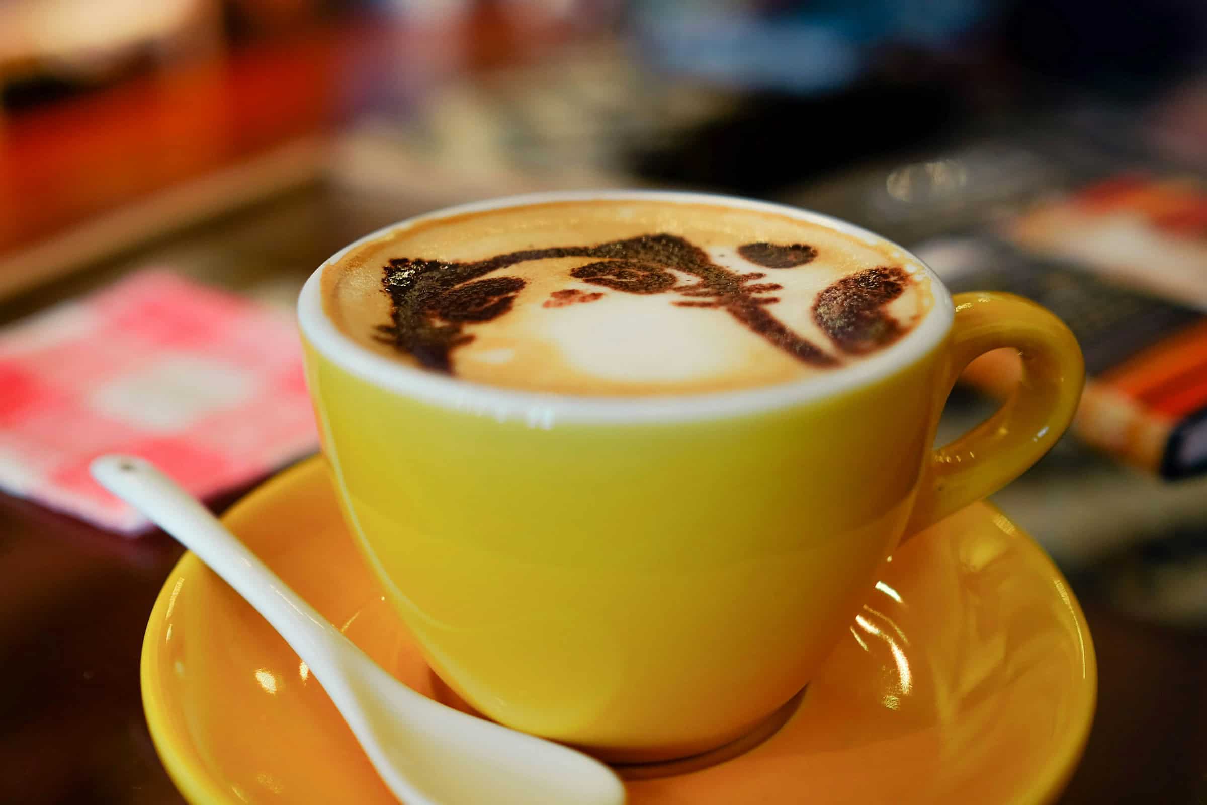 4 cat cafes in Minnesota to take a “paws” for caffeine and cuddles