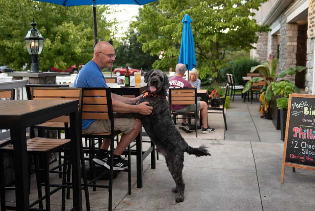 Bring your pup to these 9 dog-friendly pizza places in Pennsylvania