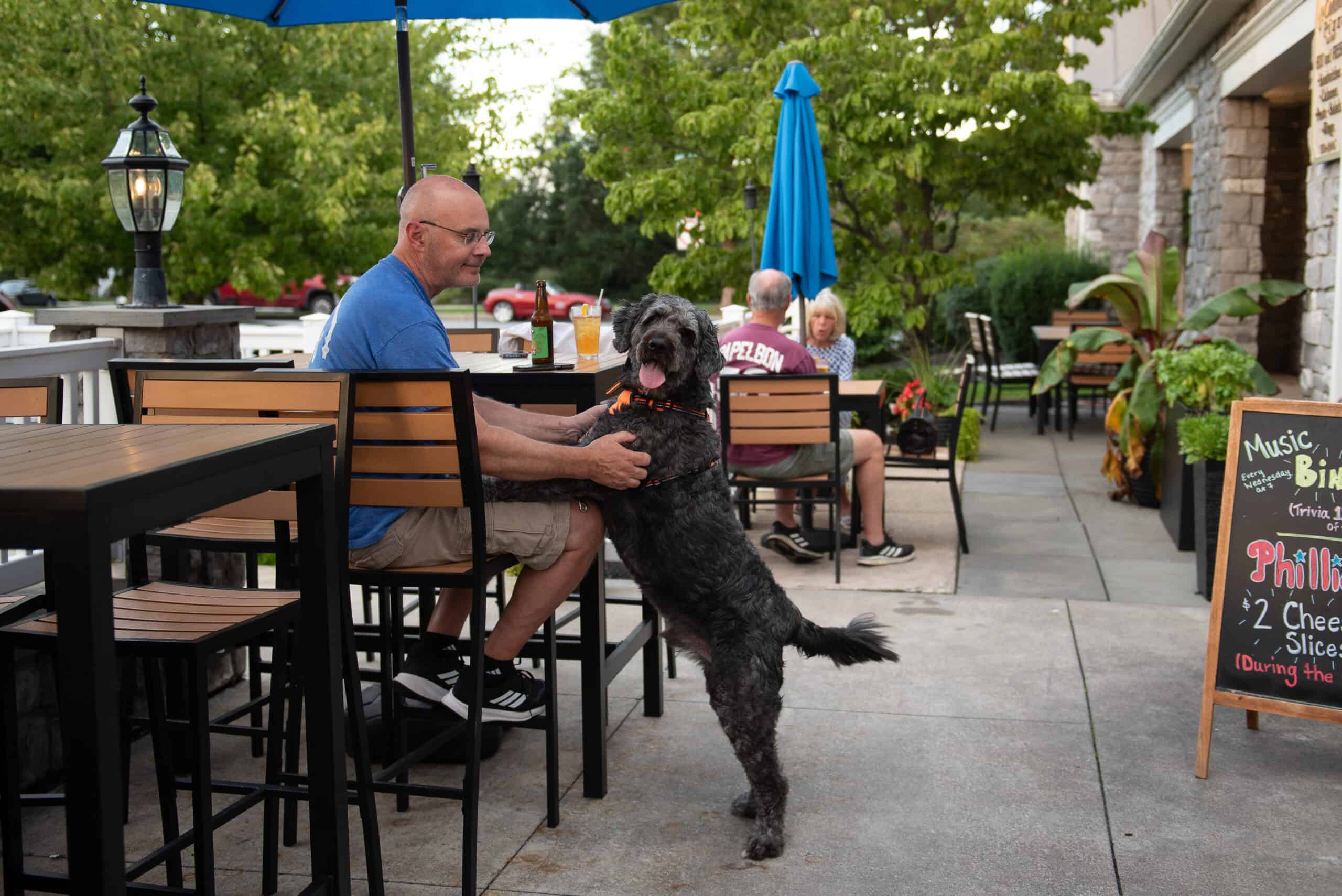 Bring your pup to these 9 dog-friendly pizza places in Pennsylvania