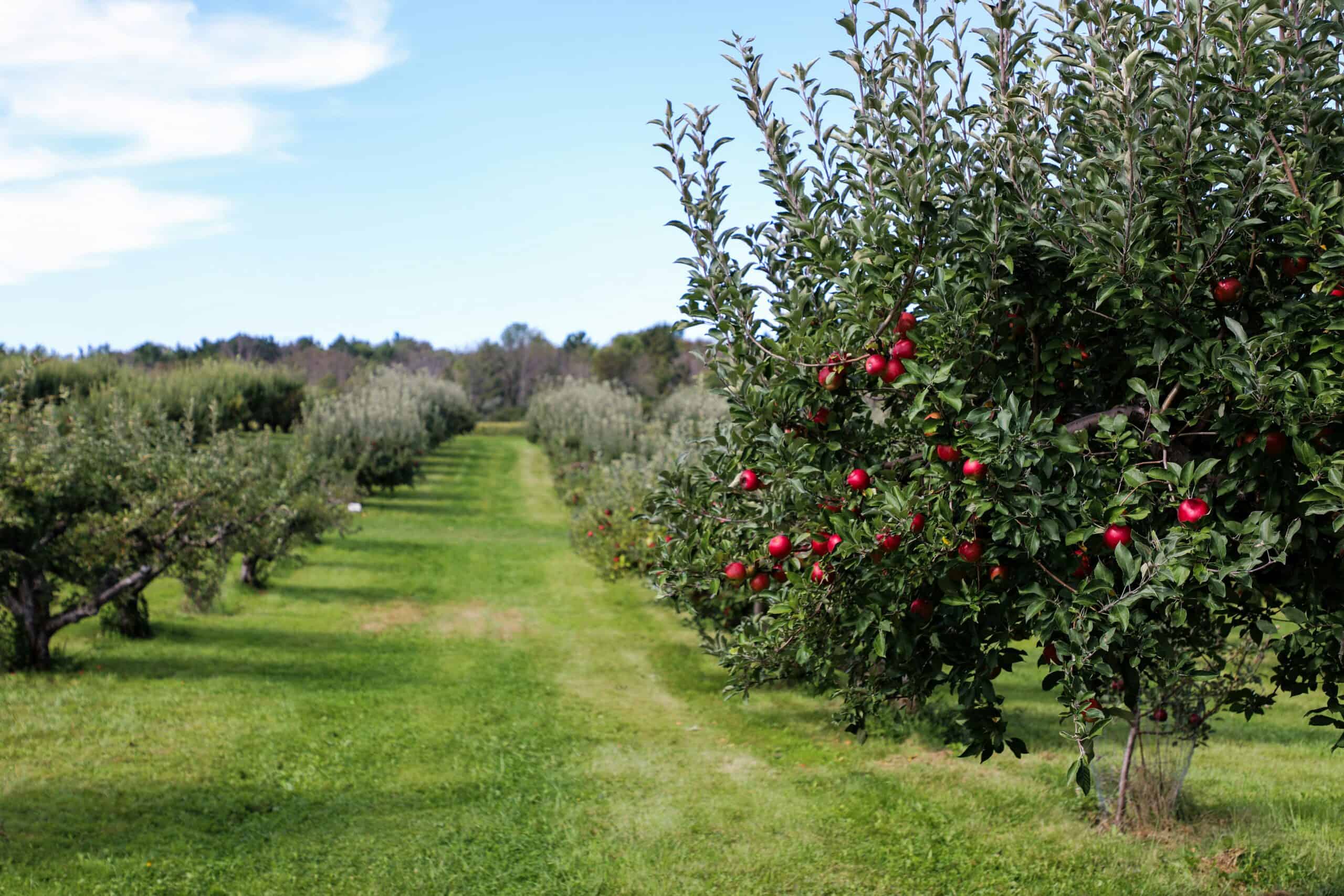 North Carolina’s best early-fall activities (before peak season crowds) 