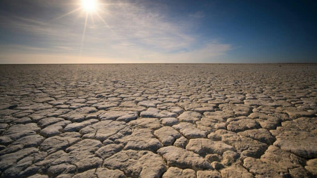 13 things you can do to help out during an Arizona drought