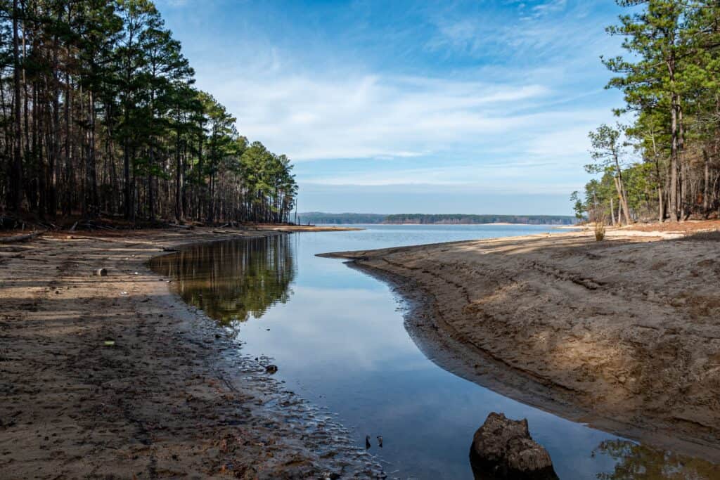 17 things you can do to help out during a North Carolina drought