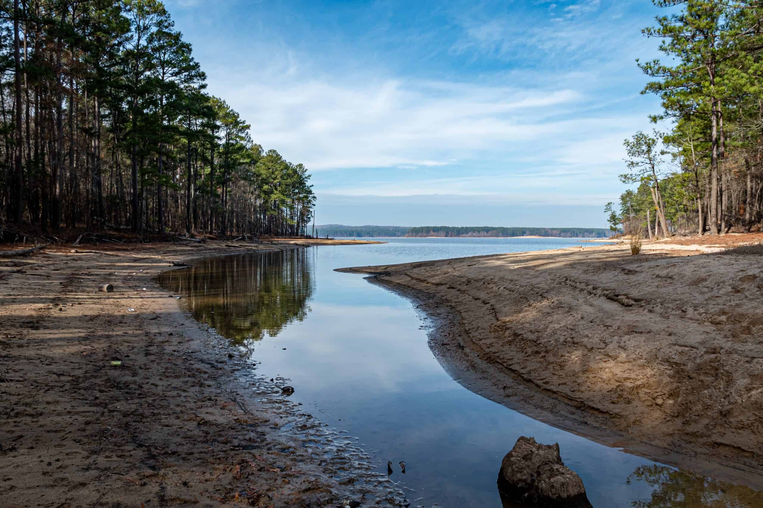 17 things you can do to help out during a North Carolina drought