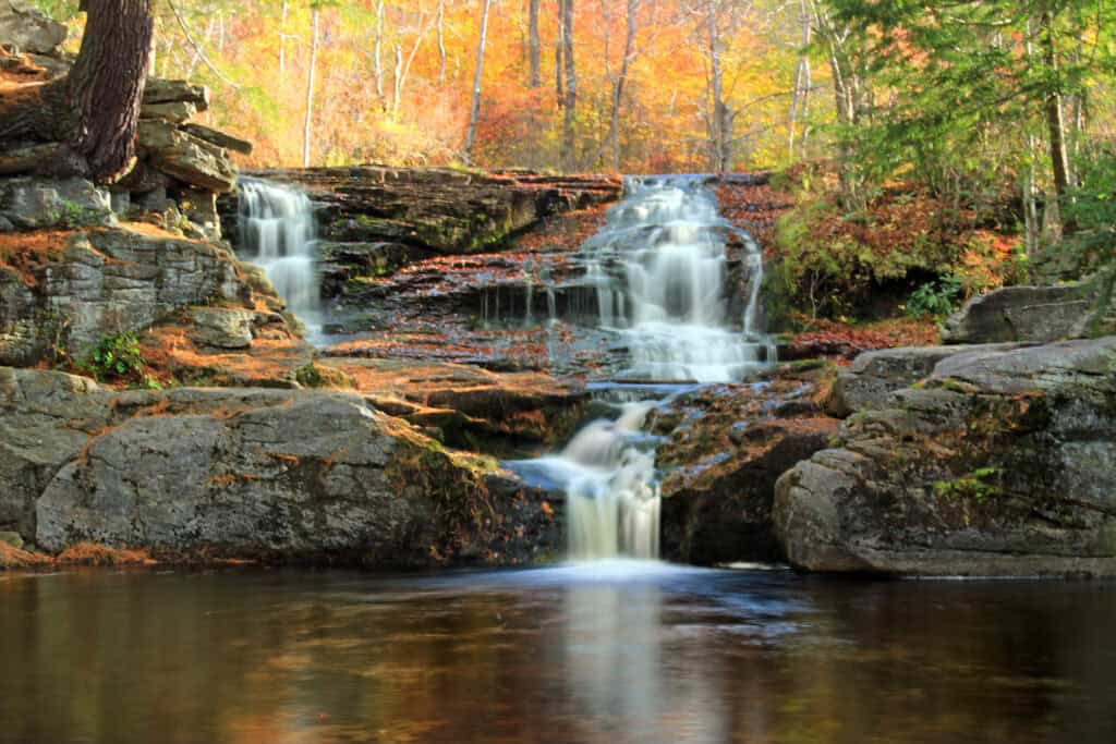 A nature lover’s guide to Lackawanna County