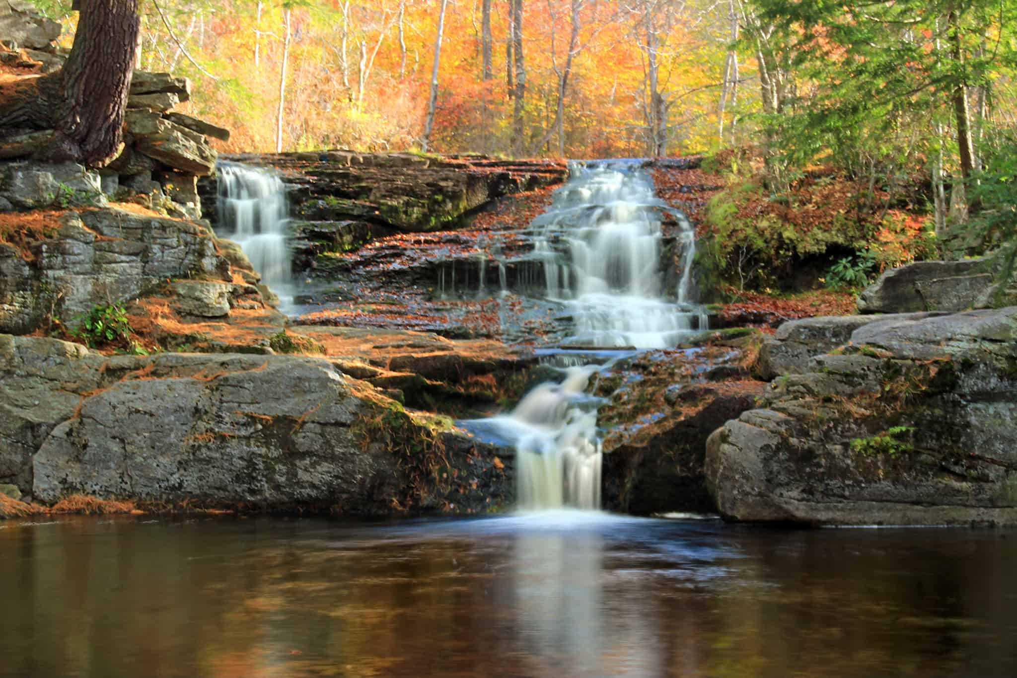 A nature lover’s guide to Lackawanna County