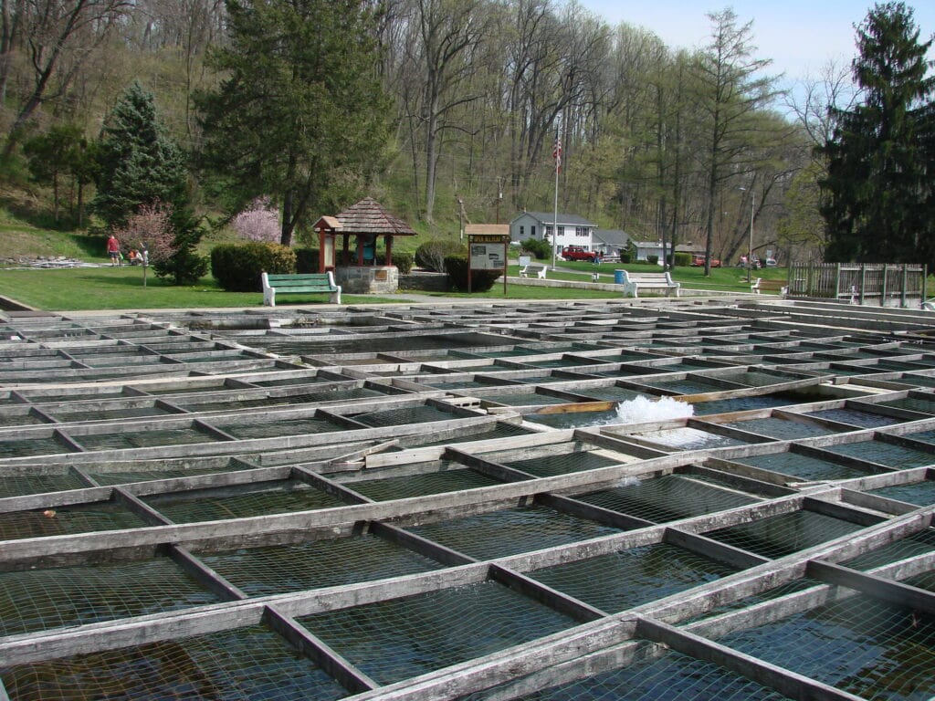 10 free things to do with kids in the Lehigh Valley