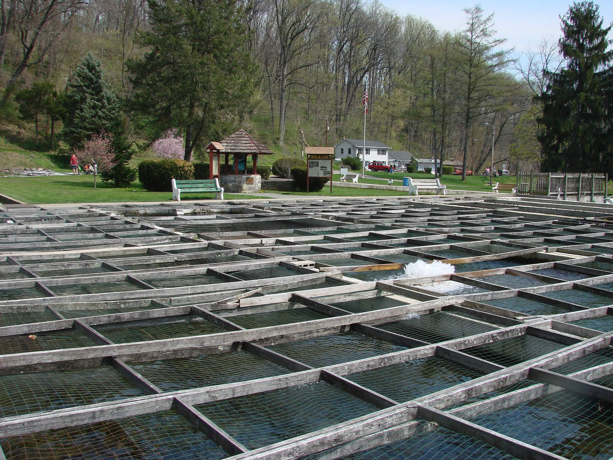 10 free things to do with kids in the Lehigh Valley