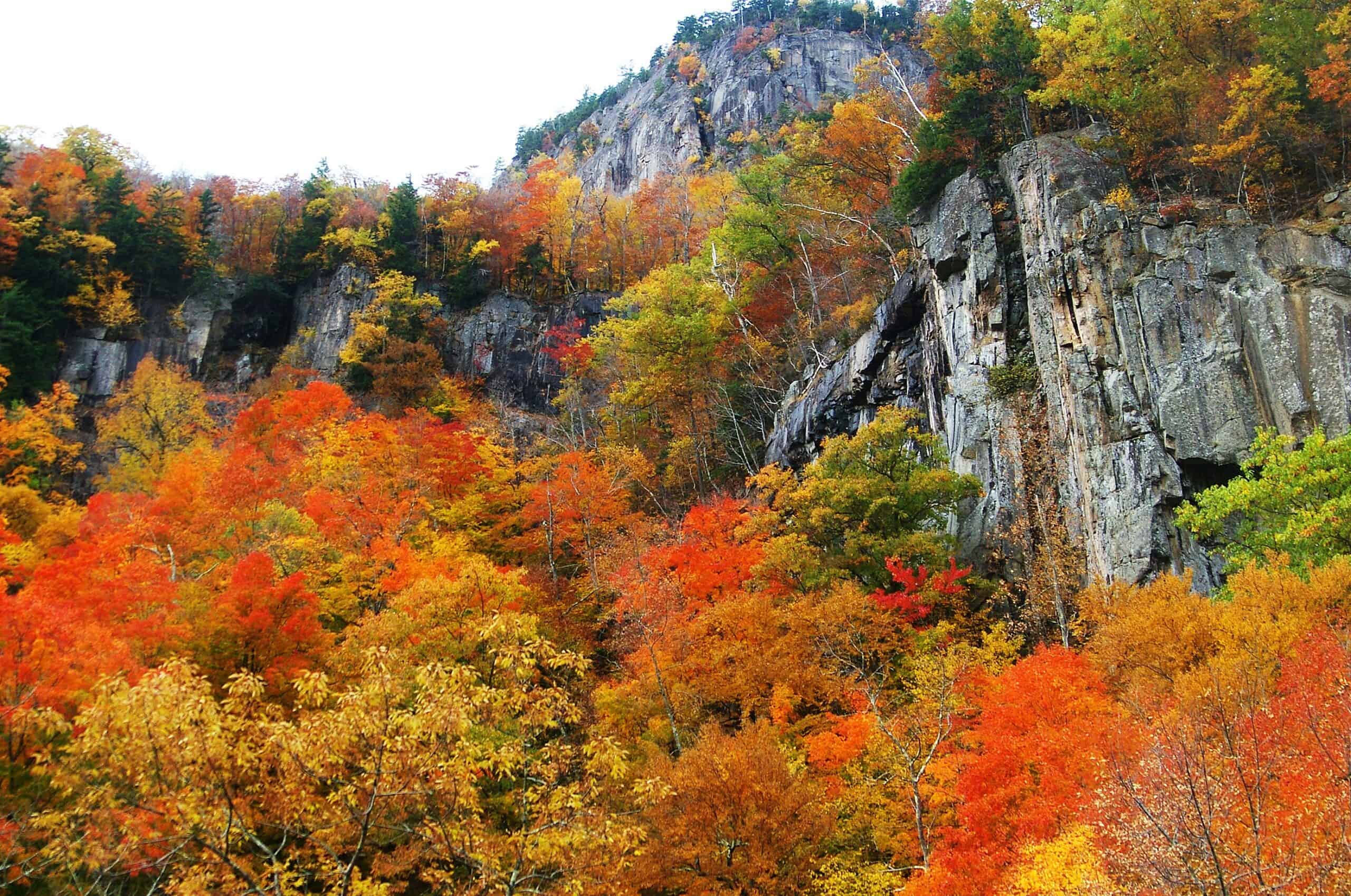 4 top trails for colorful fall hiking in New Hampshire