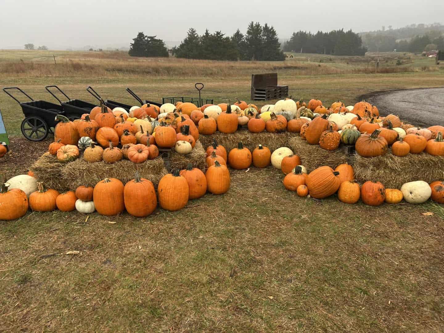 Festivals, pumpkin patches & more: Omaha’s ultimate fall bucket list