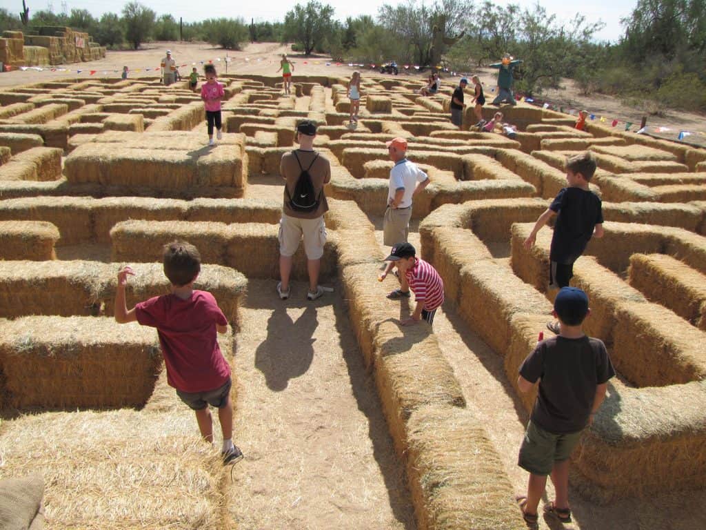 Fall fun in the Valley: Your guide to pumpkin patches, corn mazes, hay rides, & more