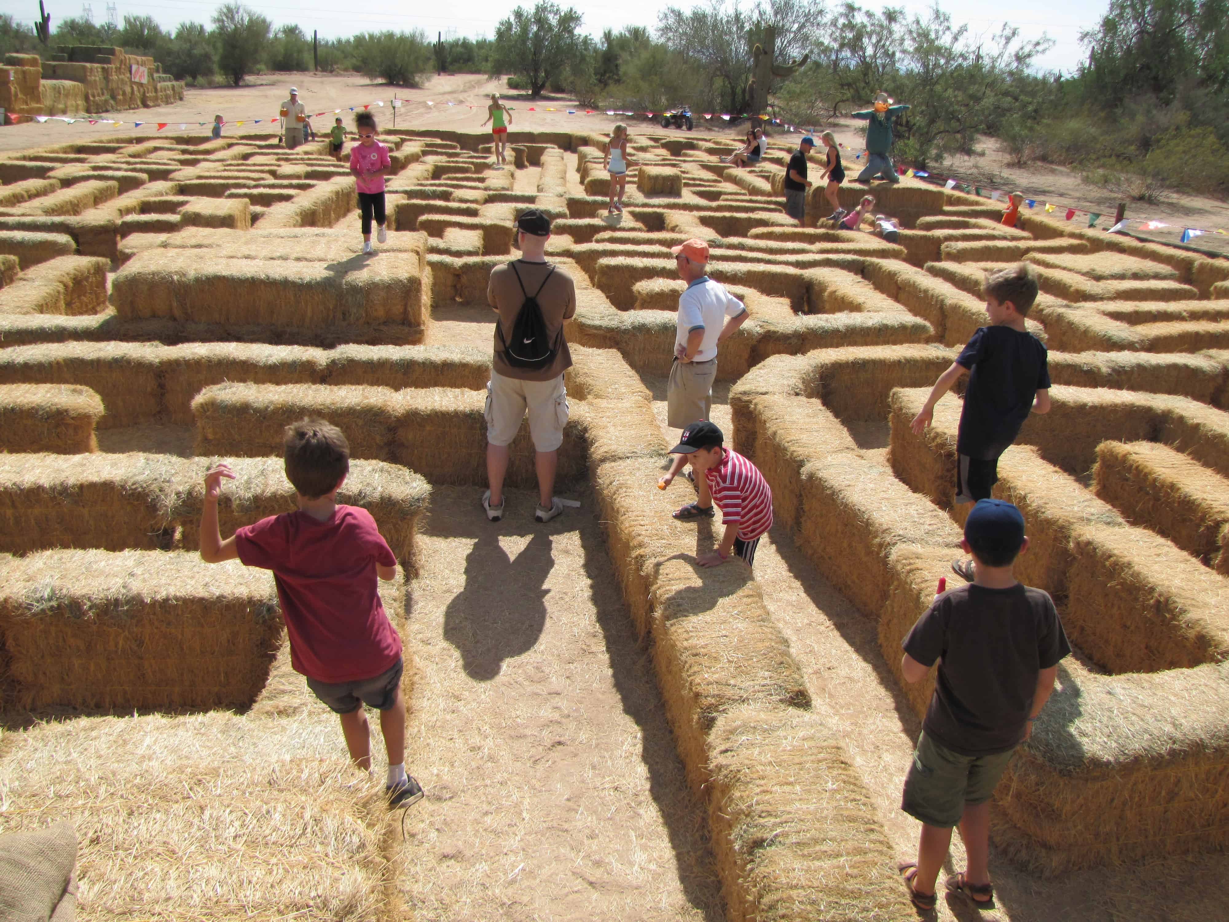 Fall fun in the Valley: Your guide to pumpkin patches, corn mazes, hay rides, & more