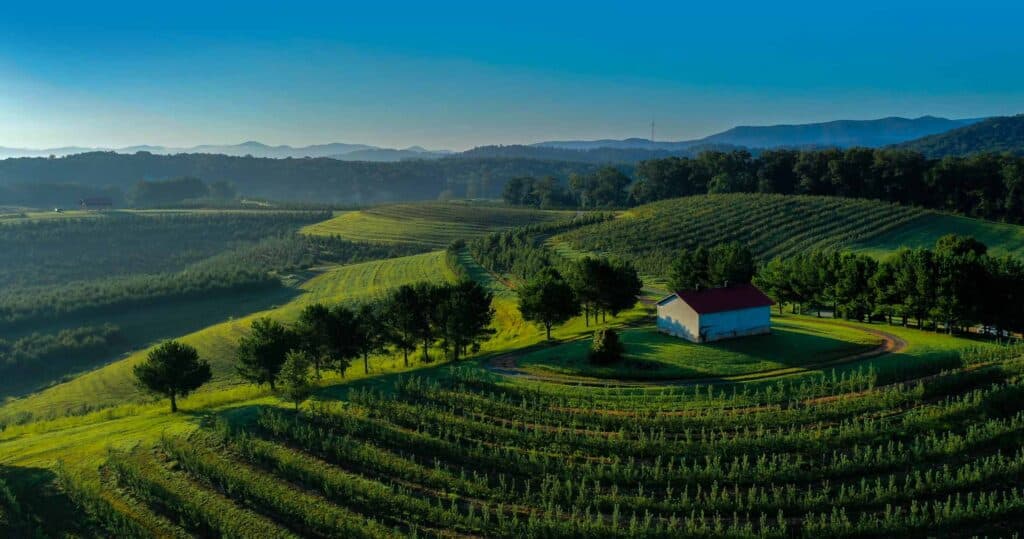 8 must-visit orchards in Georgia for apple-picking, baked goods, & fall fun