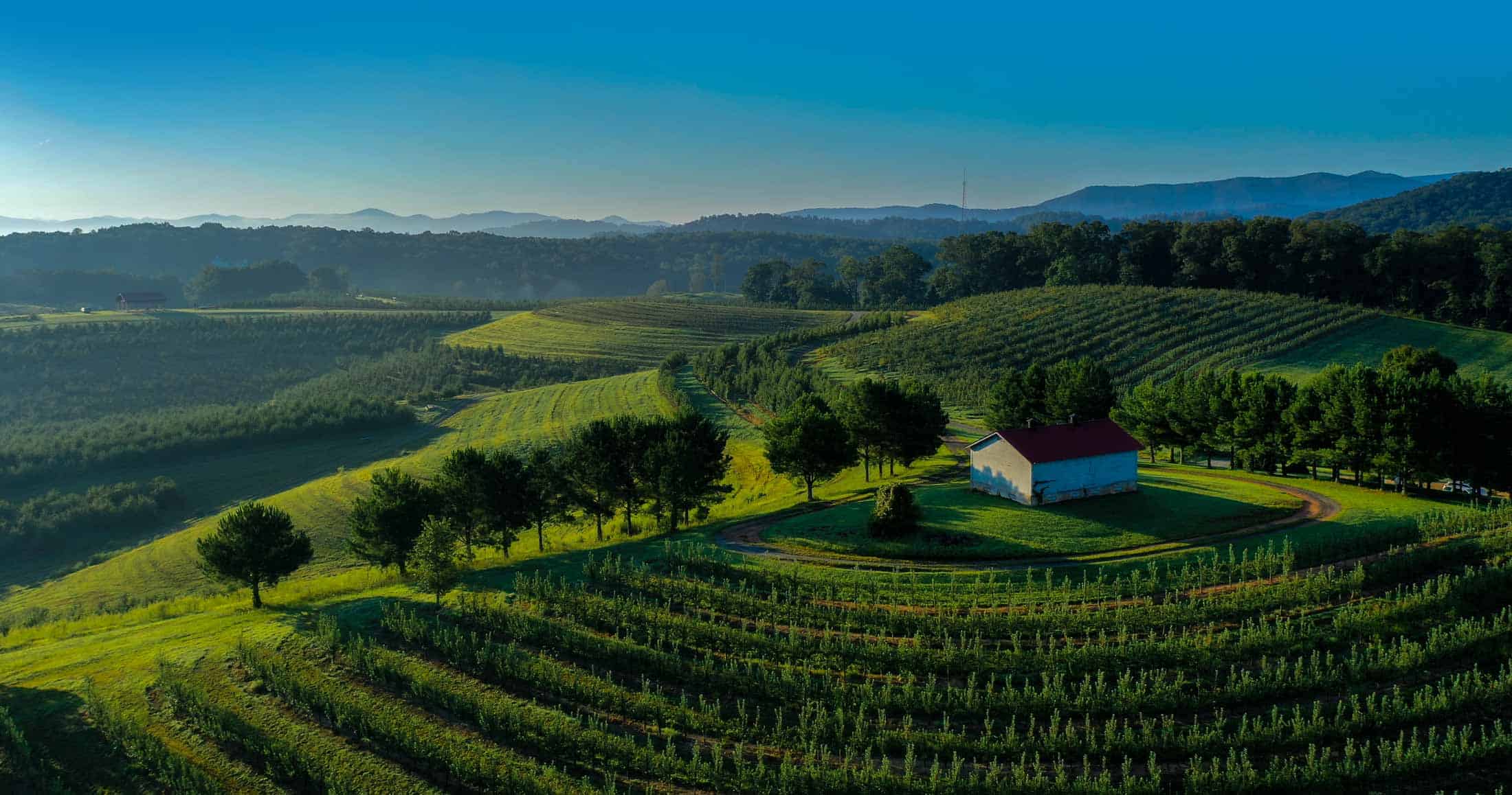 8 must-visit orchards in Georgia for apple-picking, baked goods, & fall fun