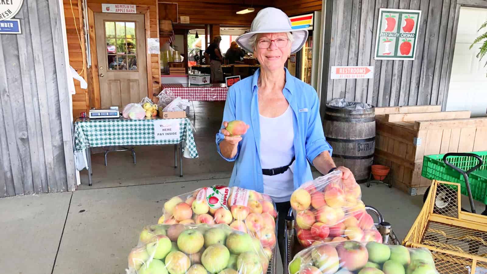6 orchards in Kentucky where you can pick your own apples this fall