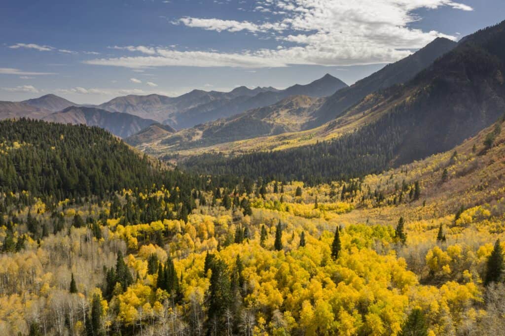 Your fall 2026 guide to leaf peeping in Utah