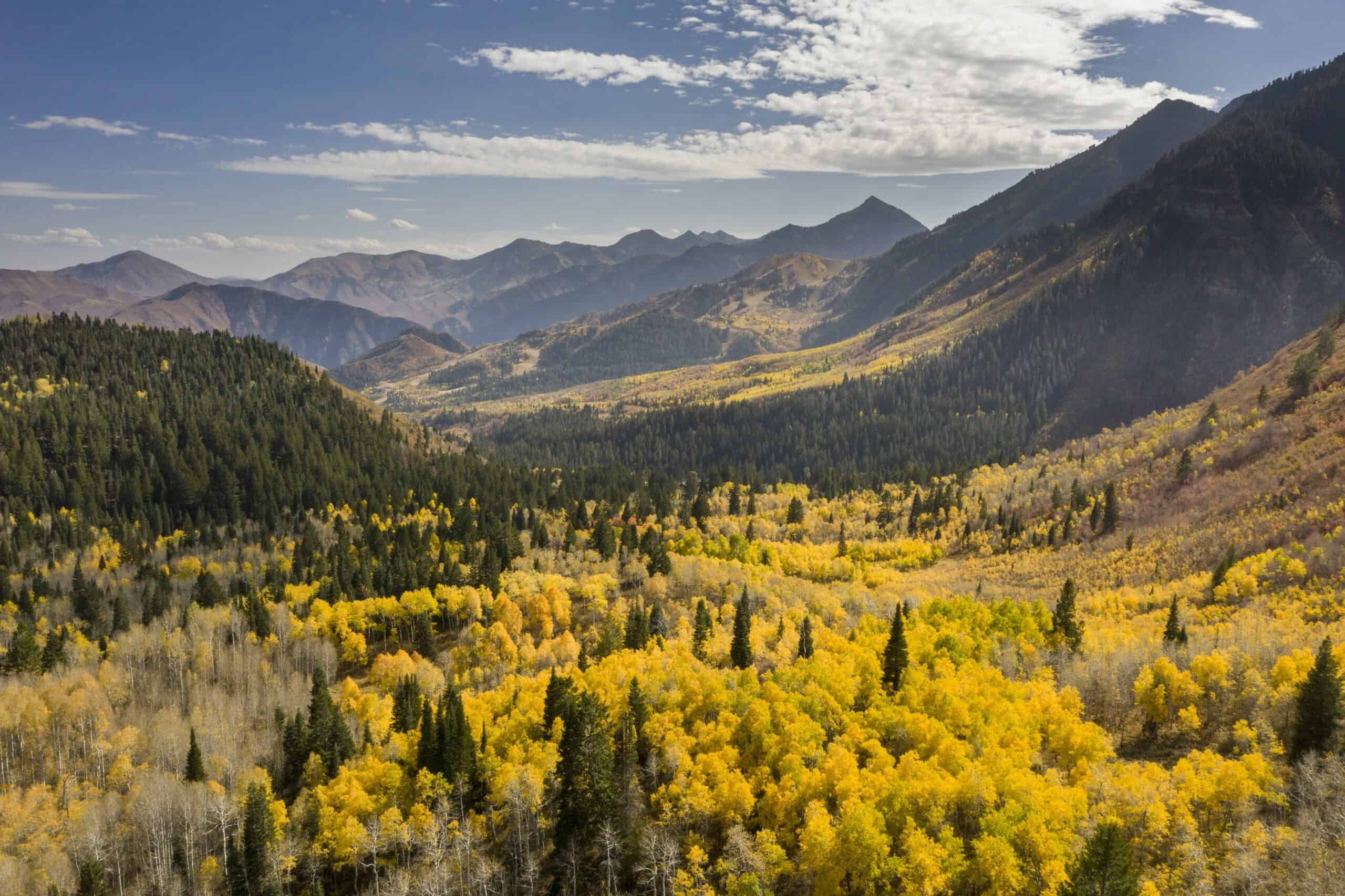 Your fall 2026 guide to leaf peeping in Utah