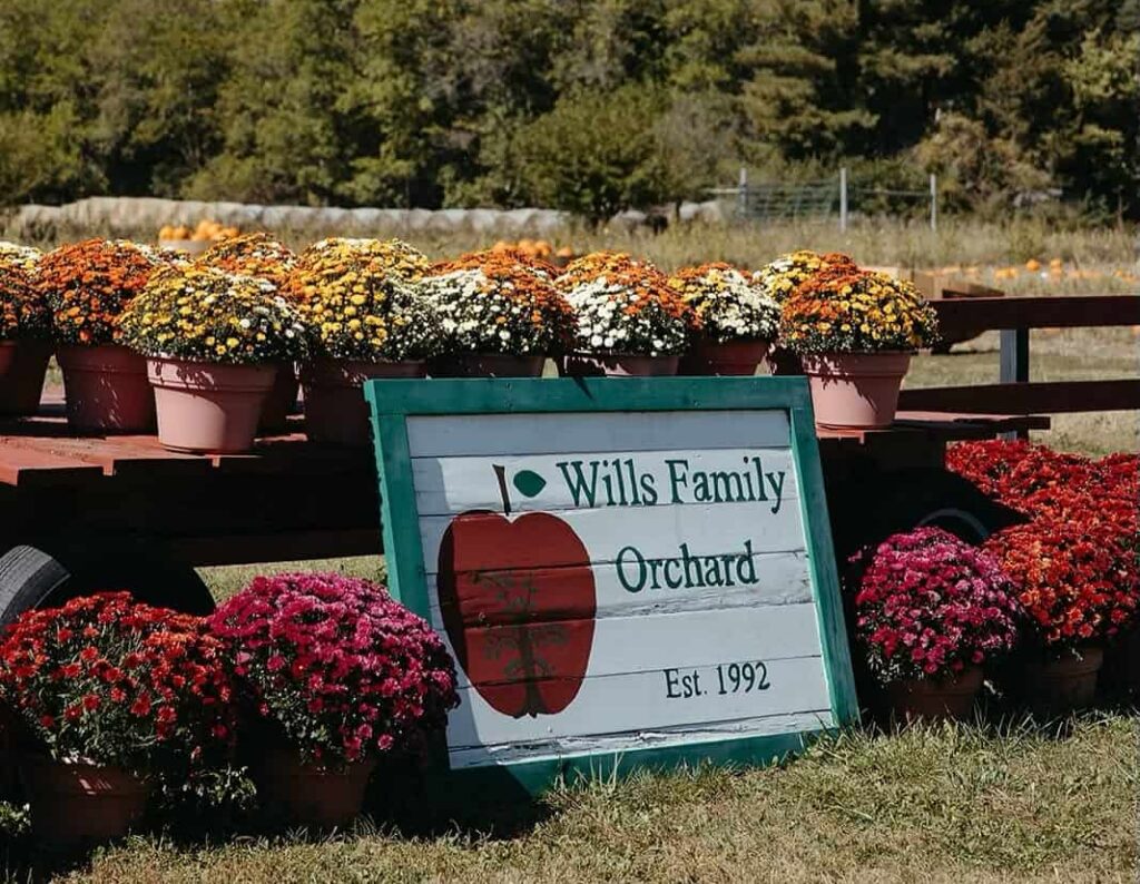 Fall fun in Des Moines & Cedar Rapids–Iowa City: Best pumpkin patches, corn mazes, and hayrides