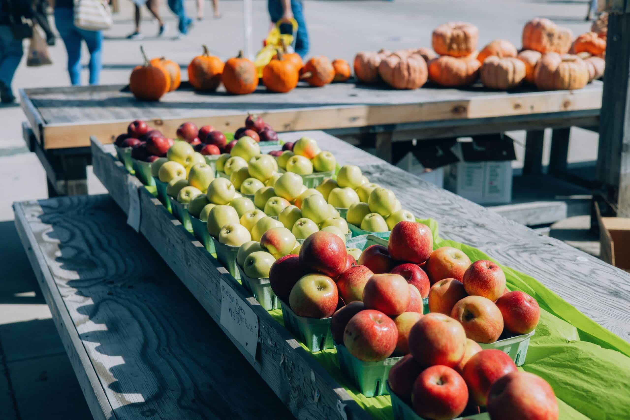 Go apple-picking this fall at these 12 U-Pick farms in Michigan
