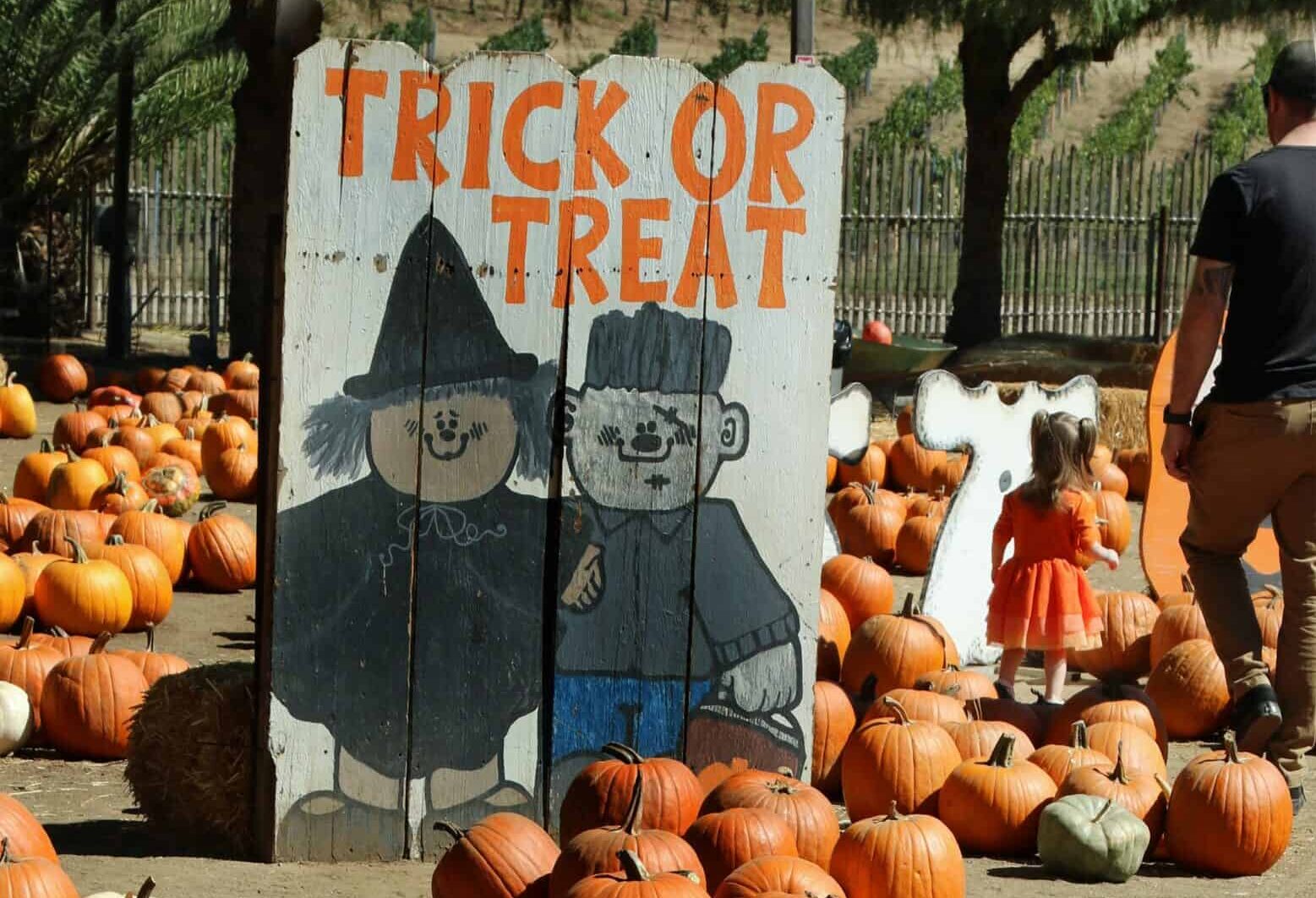 Fall fun in Louisville: Best pumpkin patches, corn mazes, hay rides, & more