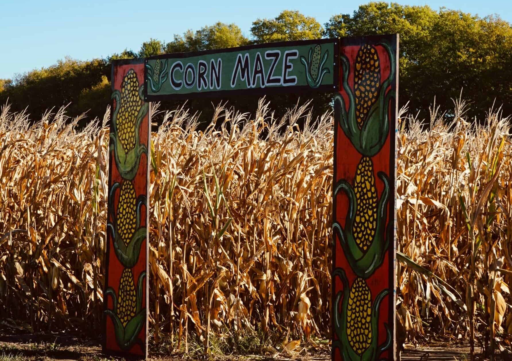 Fall fun in Omaha: Best pumpkin patches, corn mazes, hay rides, & more