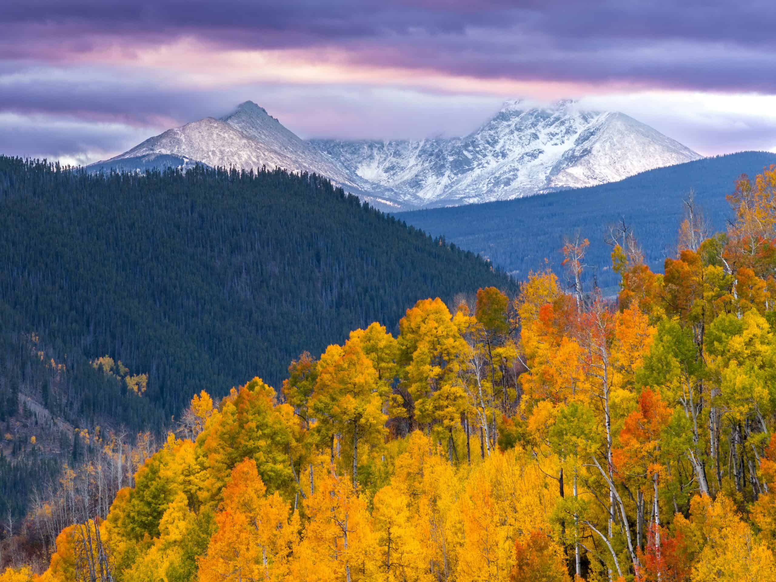 Your fall 2026 guide to leaf-peeping in Colorado
