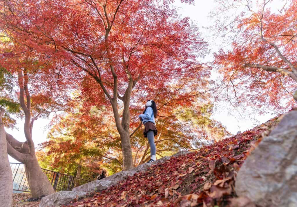 Why leaf-peeping in the Temecula Valley needs to be on your fall 2026 bucket list