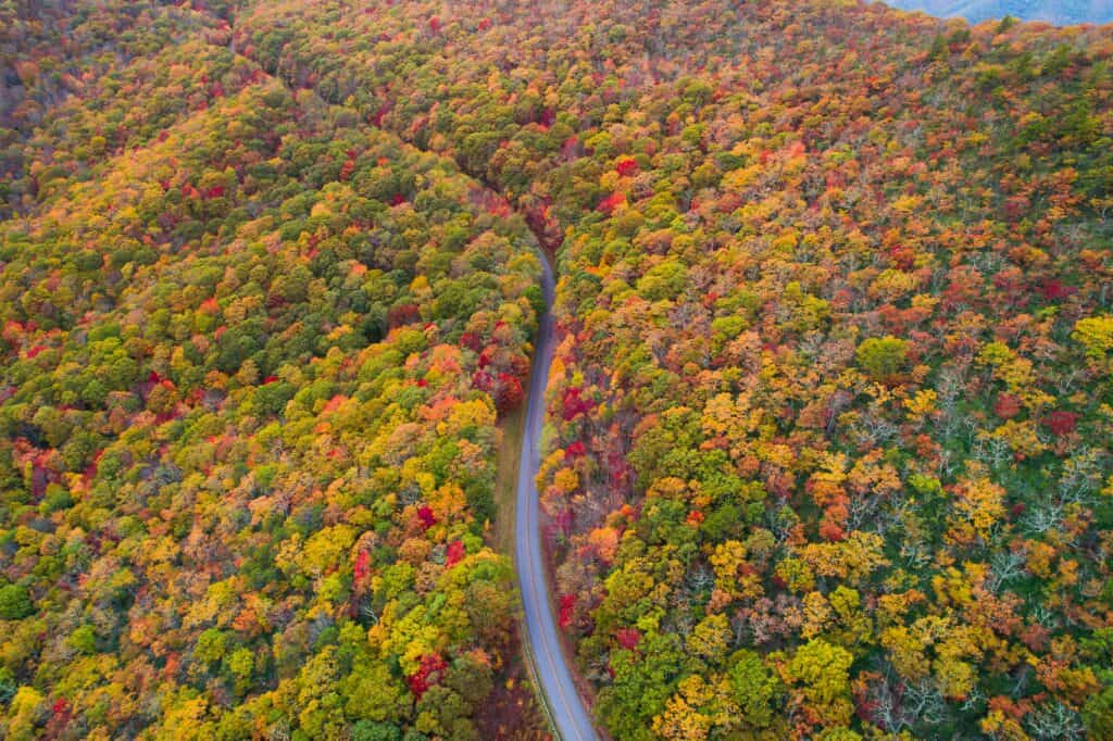 Fall 2026 guide to leaf-peeping in North Carolina