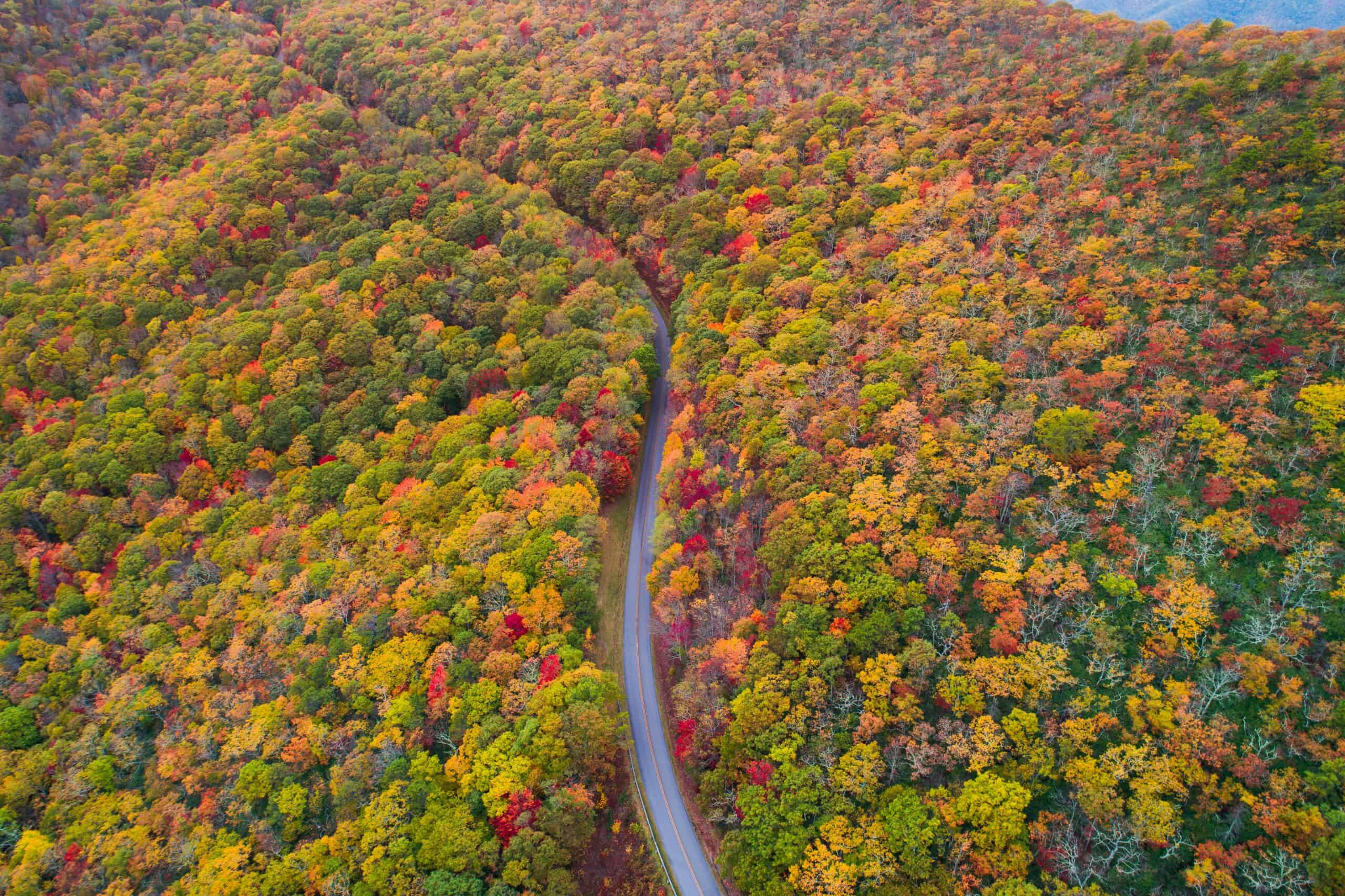 Fall 2026 guide to leaf-peeping in North Carolina