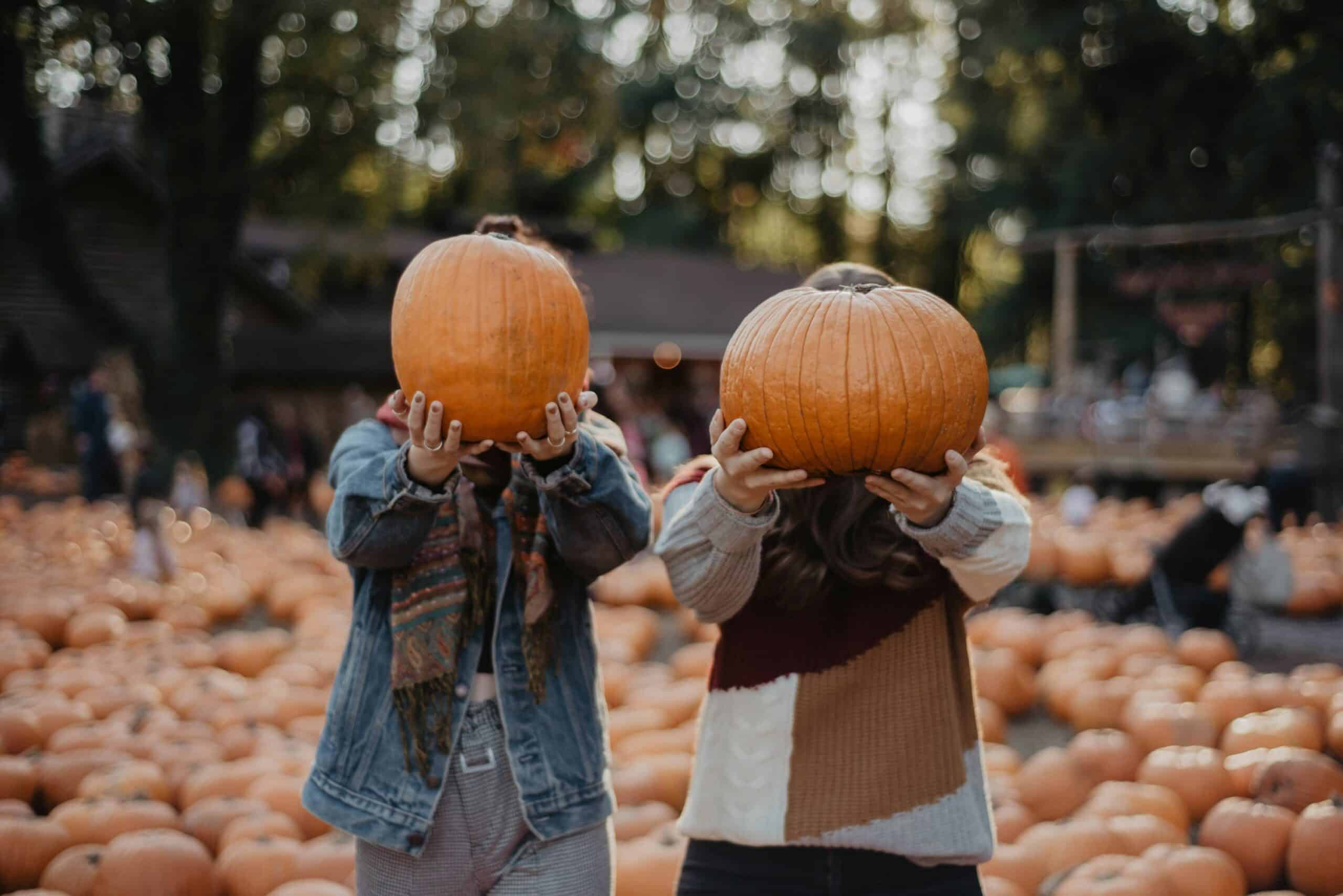 Celebrate the changing season at these 11 Nevada fall festivals