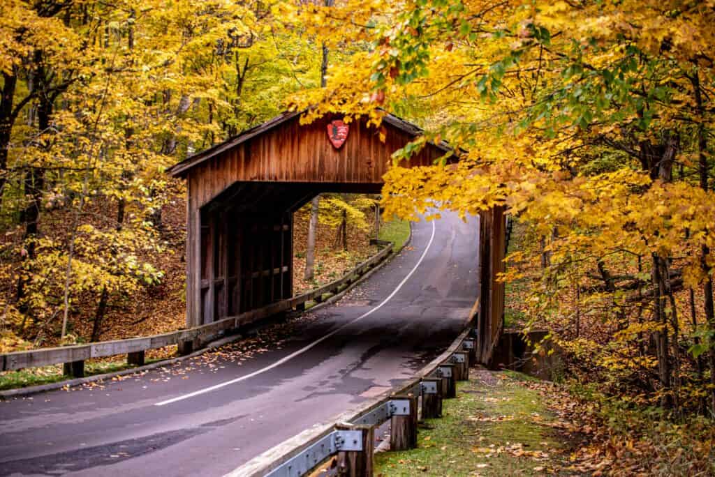 Your complete 2026 guide to leaf peeping in Michigan