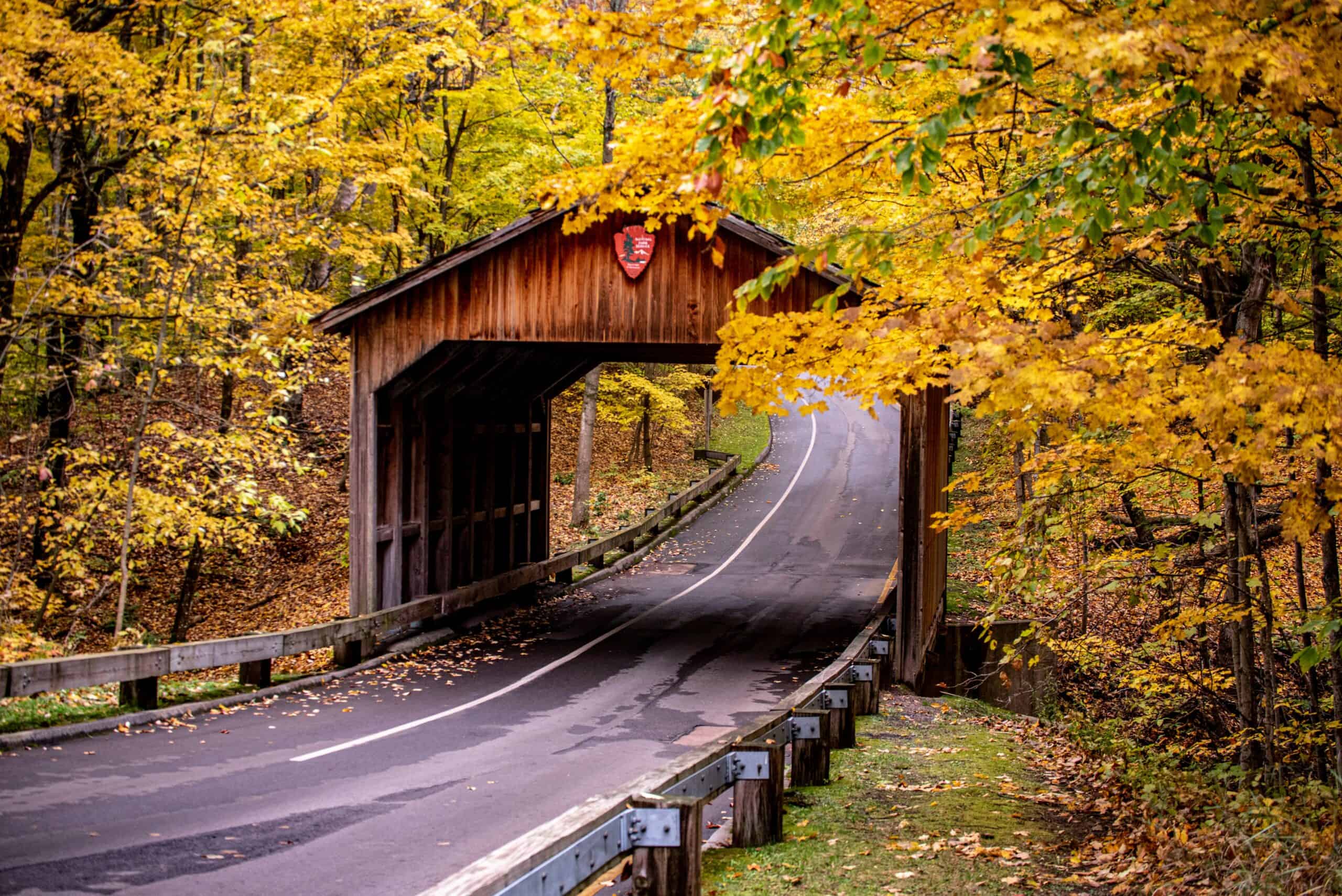 Your complete 2026 guide to leaf peeping in Michigan