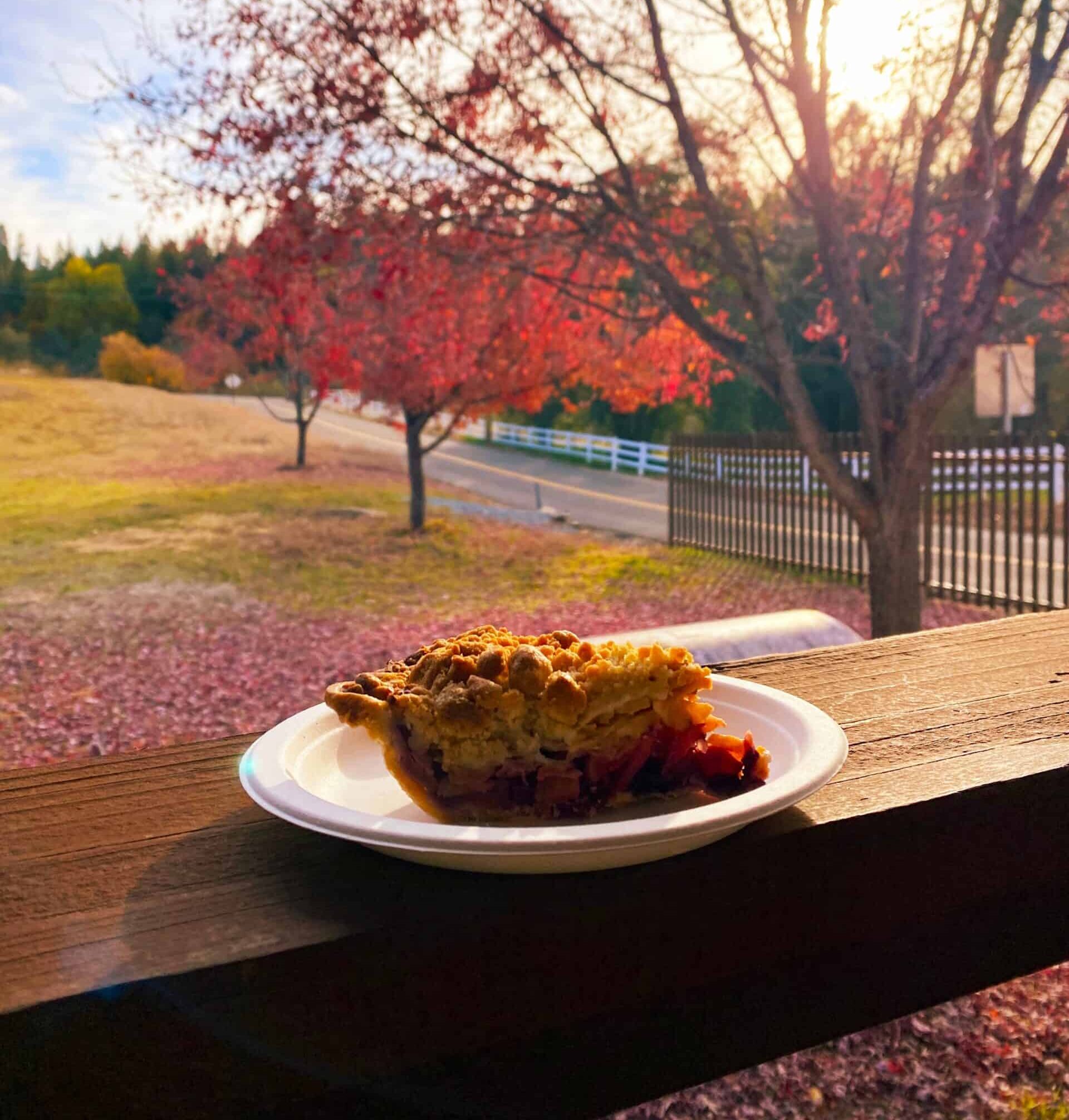 6 orchards in California perfect for apple picking, baked goods, & fall fun