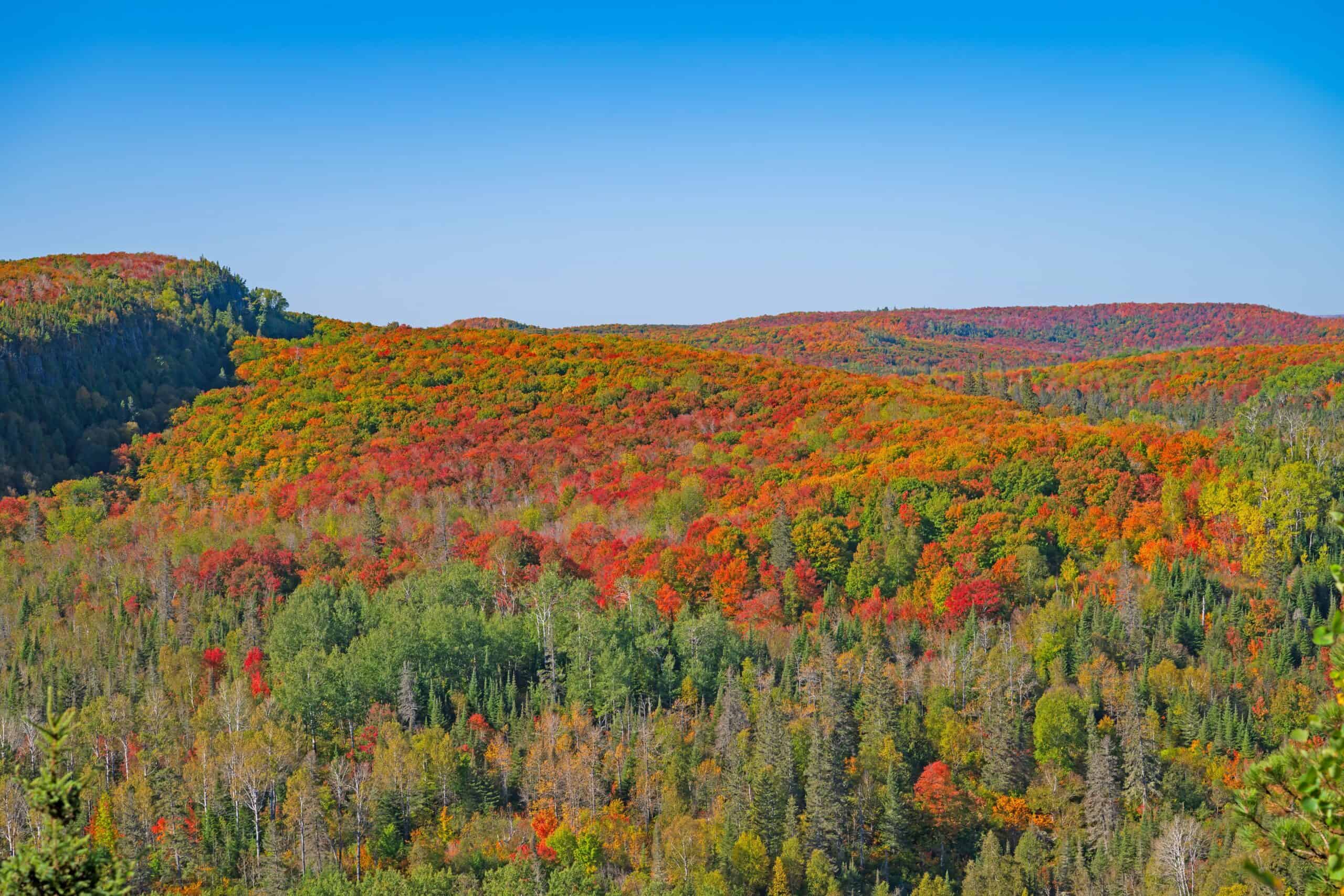 Your fall 2026 guide to leaf peeping in Minnesota
