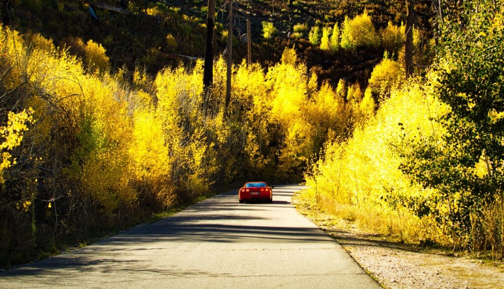 Fall 2026 guide to leaf peeping in Arizona