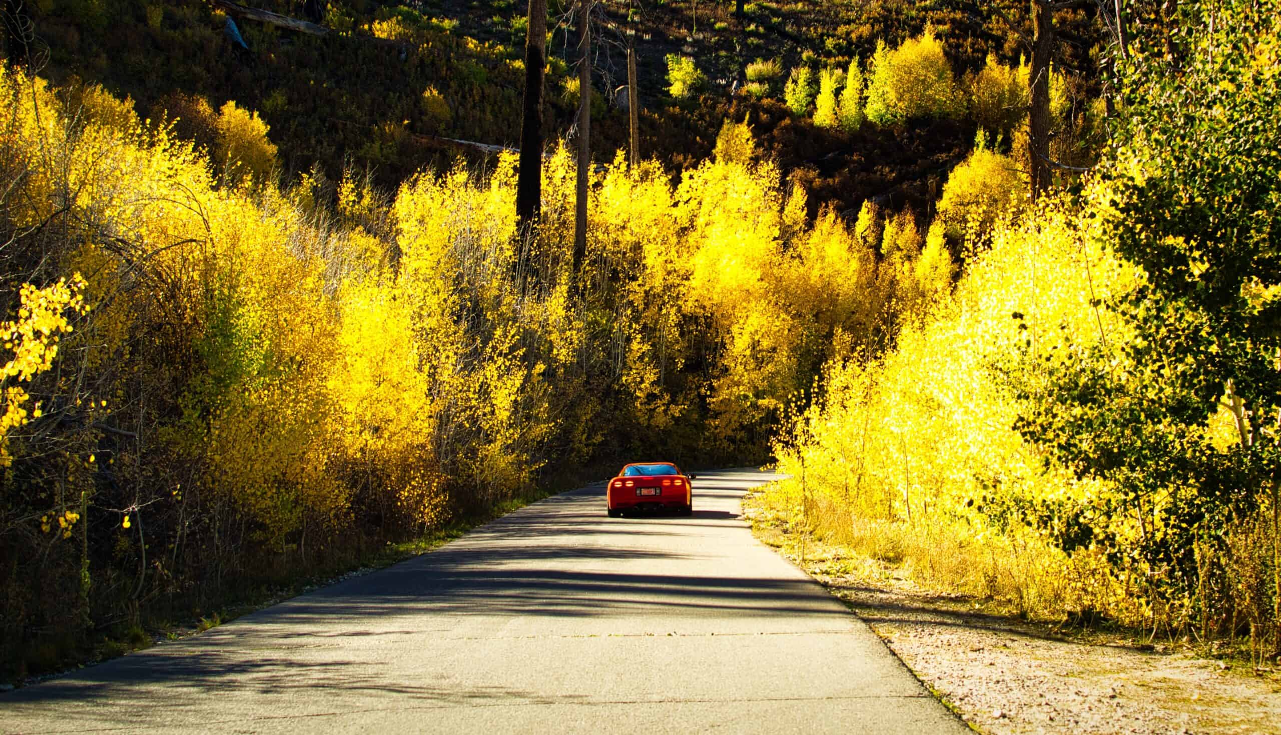 Fall 2026 guide to leaf peeping in Arizona
