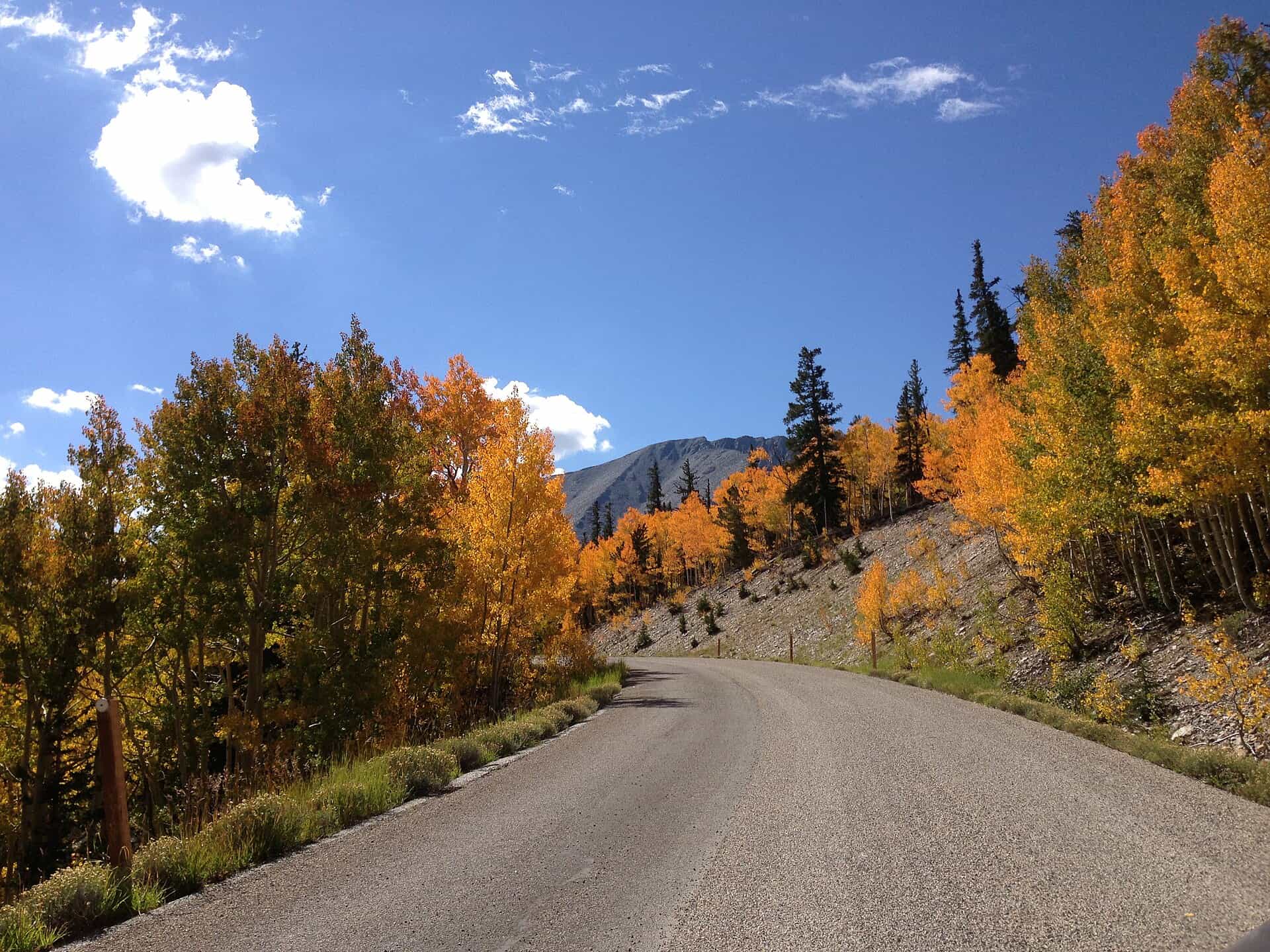 When & where to go leaf peeping in Nevada this fall