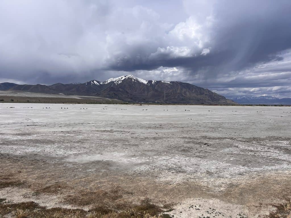5 ways the shrinking Great Salt Lake affects Utahns
