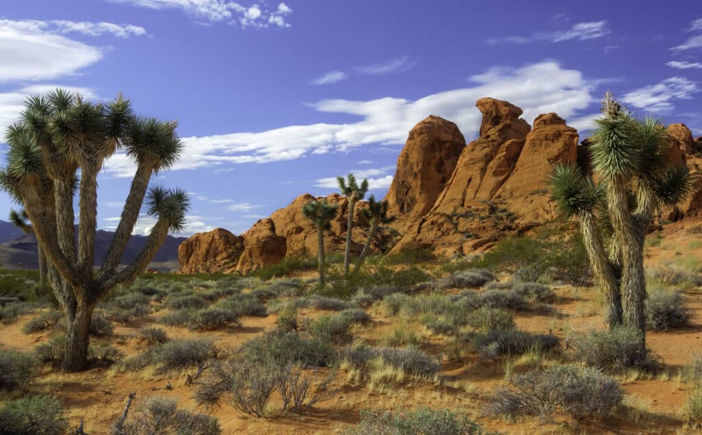 6 must-do October activities in Nevada