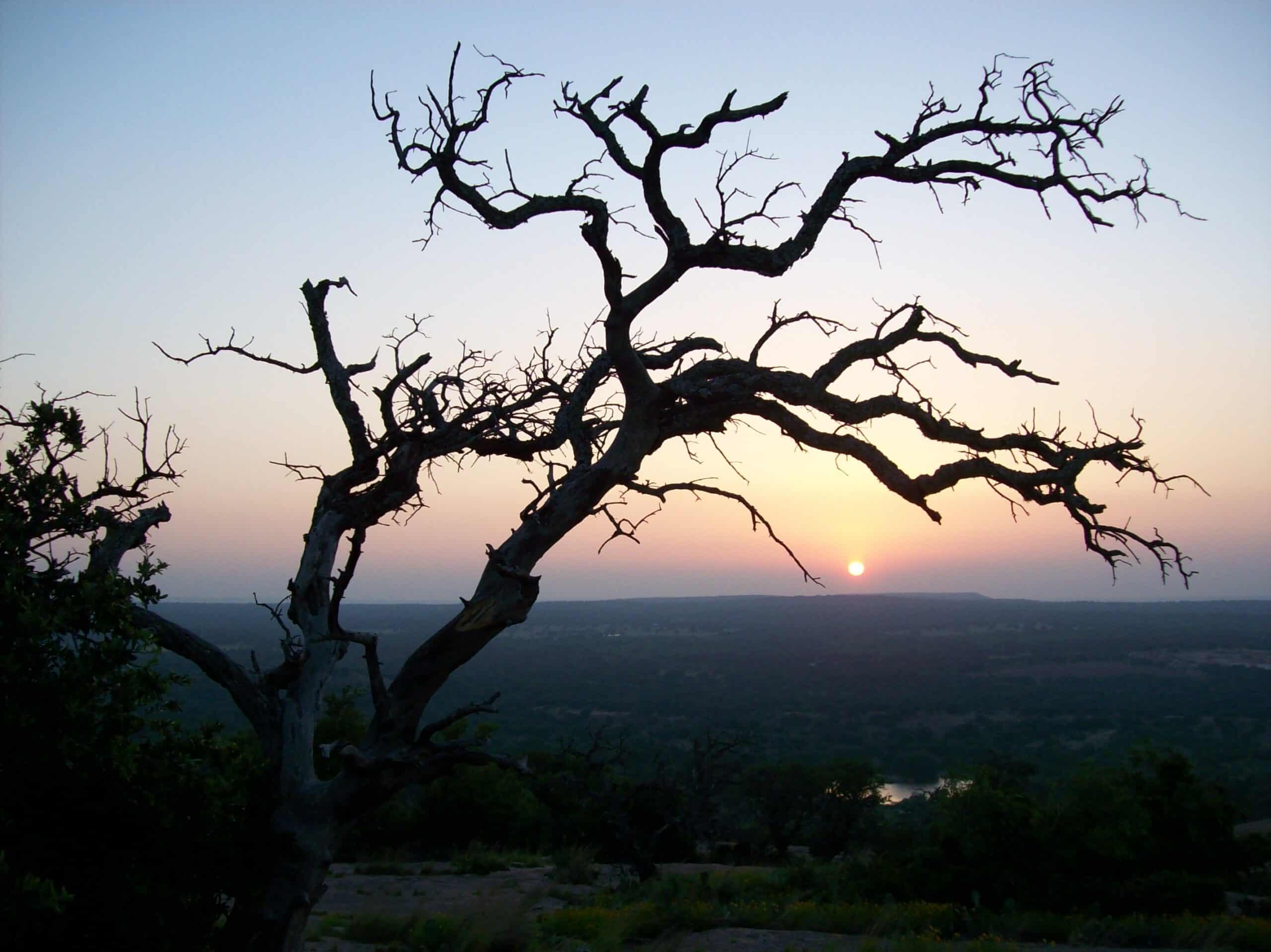Where do Texans feel most at peace? A new survey points to nature