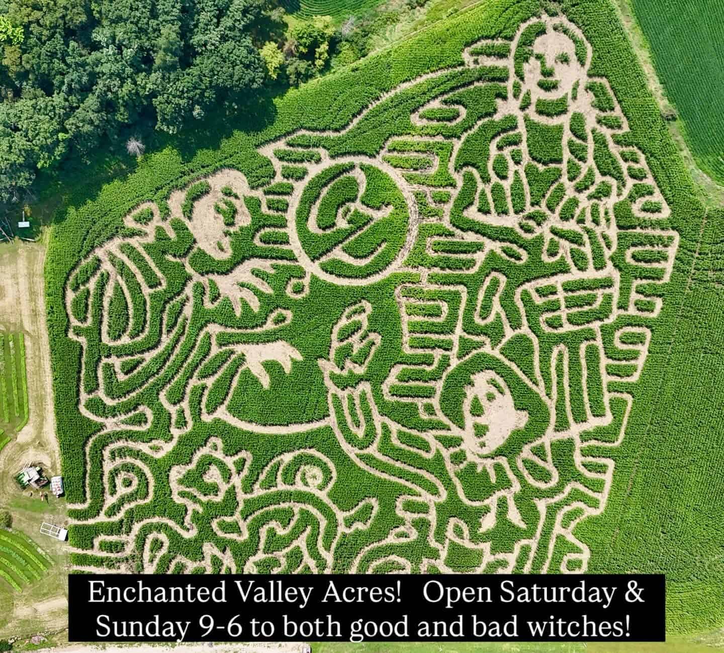 8 of the most impressive corn mazes in Wisconsin