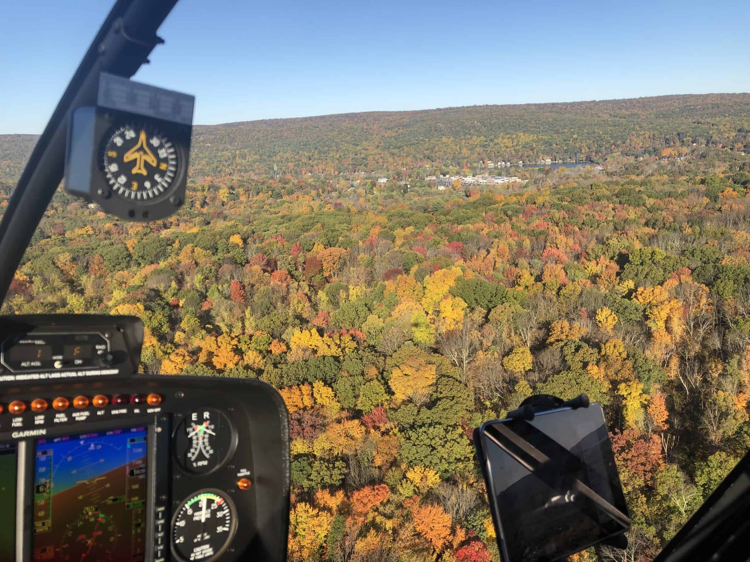 15 fun things to do in the NYC suburbs this November