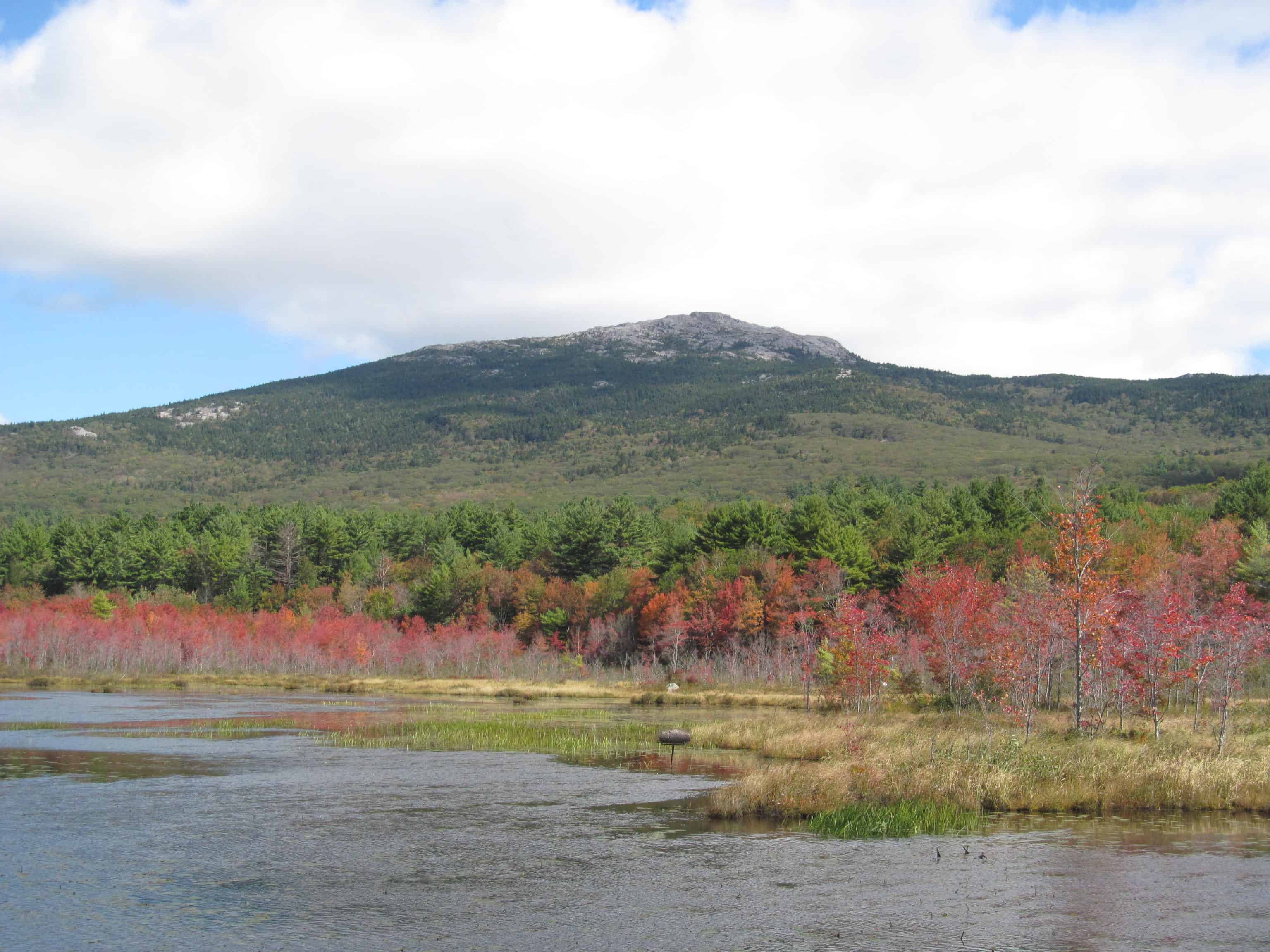 Farms to fests: 10 things to do in Southern New Hampshire this month