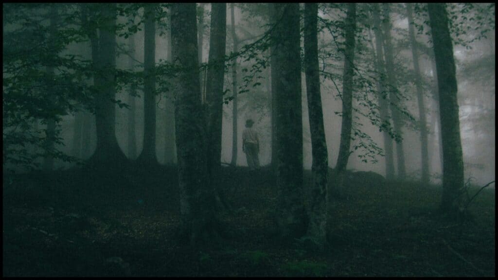 ‘You Can’t Leave’ finds its nightmare in Texas woods