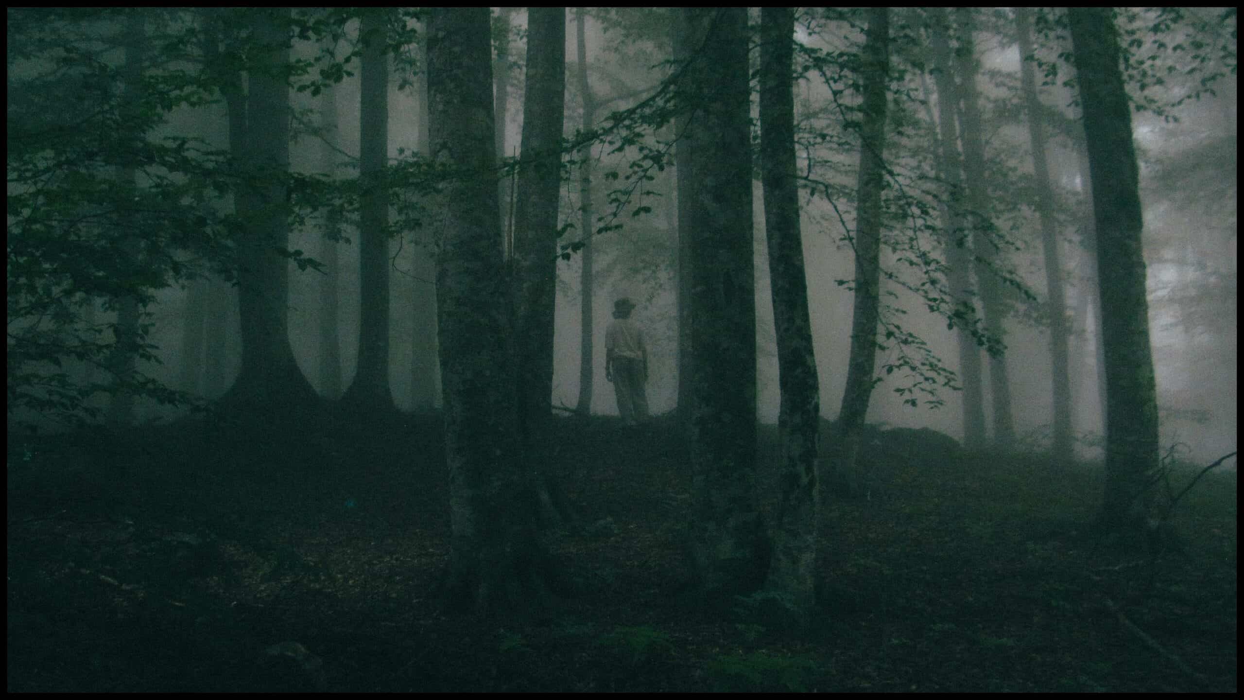 ‘You Can’t Leave’ finds its nightmare in Texas woods
